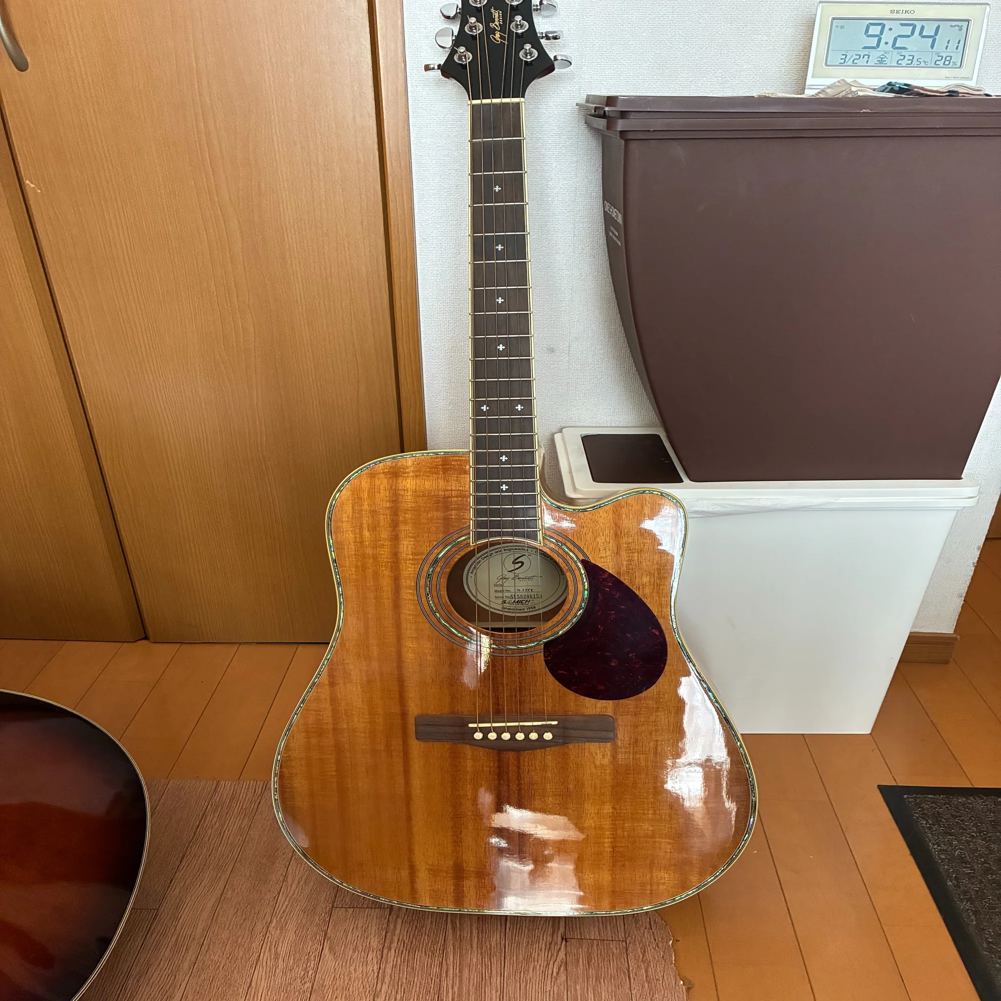 使っているエレアコ、派手なギターも紹介｜（花鳥風月）ikesan