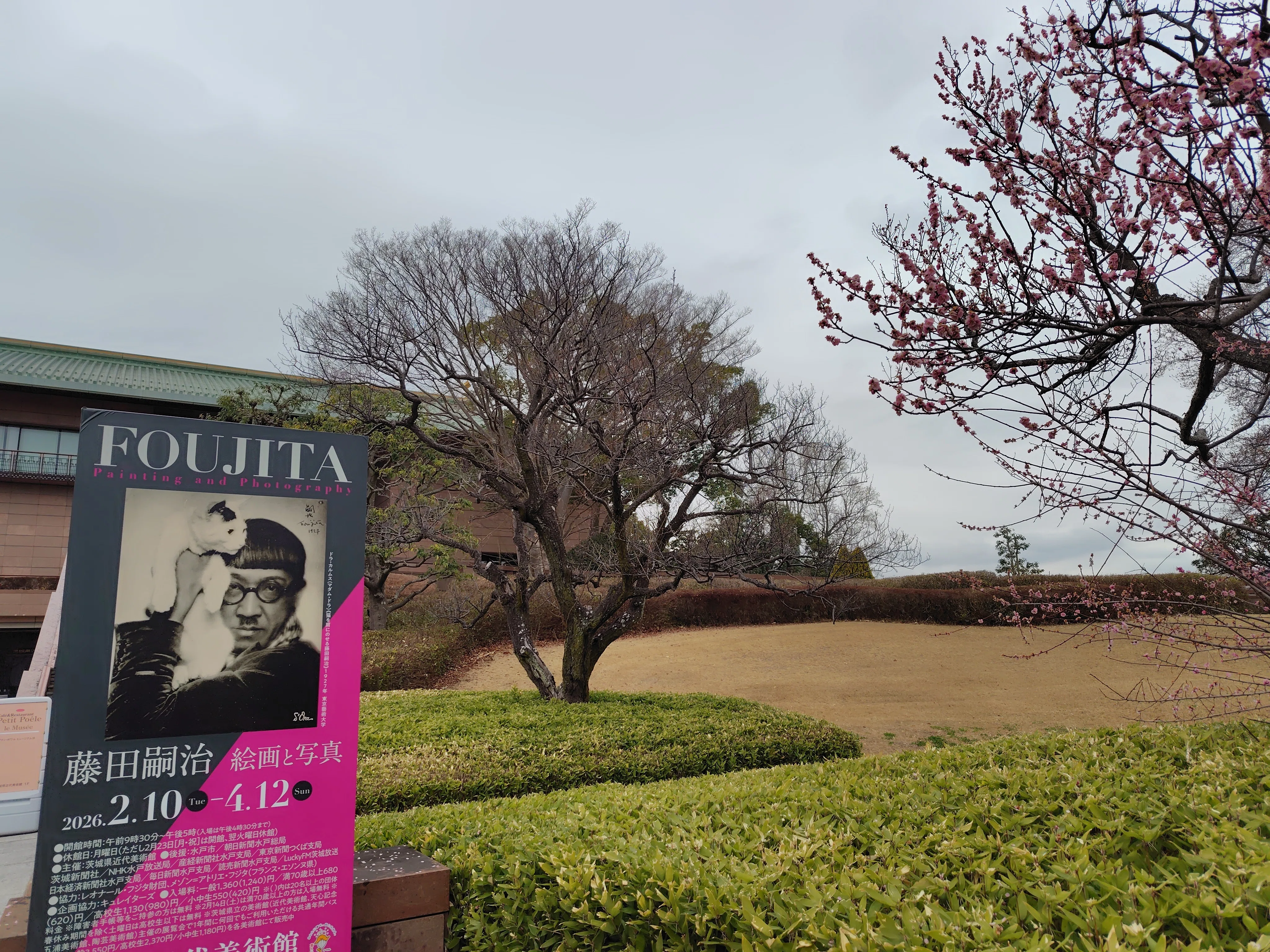 藤田嗣治 2026年は生誕140周年 そのⅢ ＜絵画と写真＞ 茨城県近代
