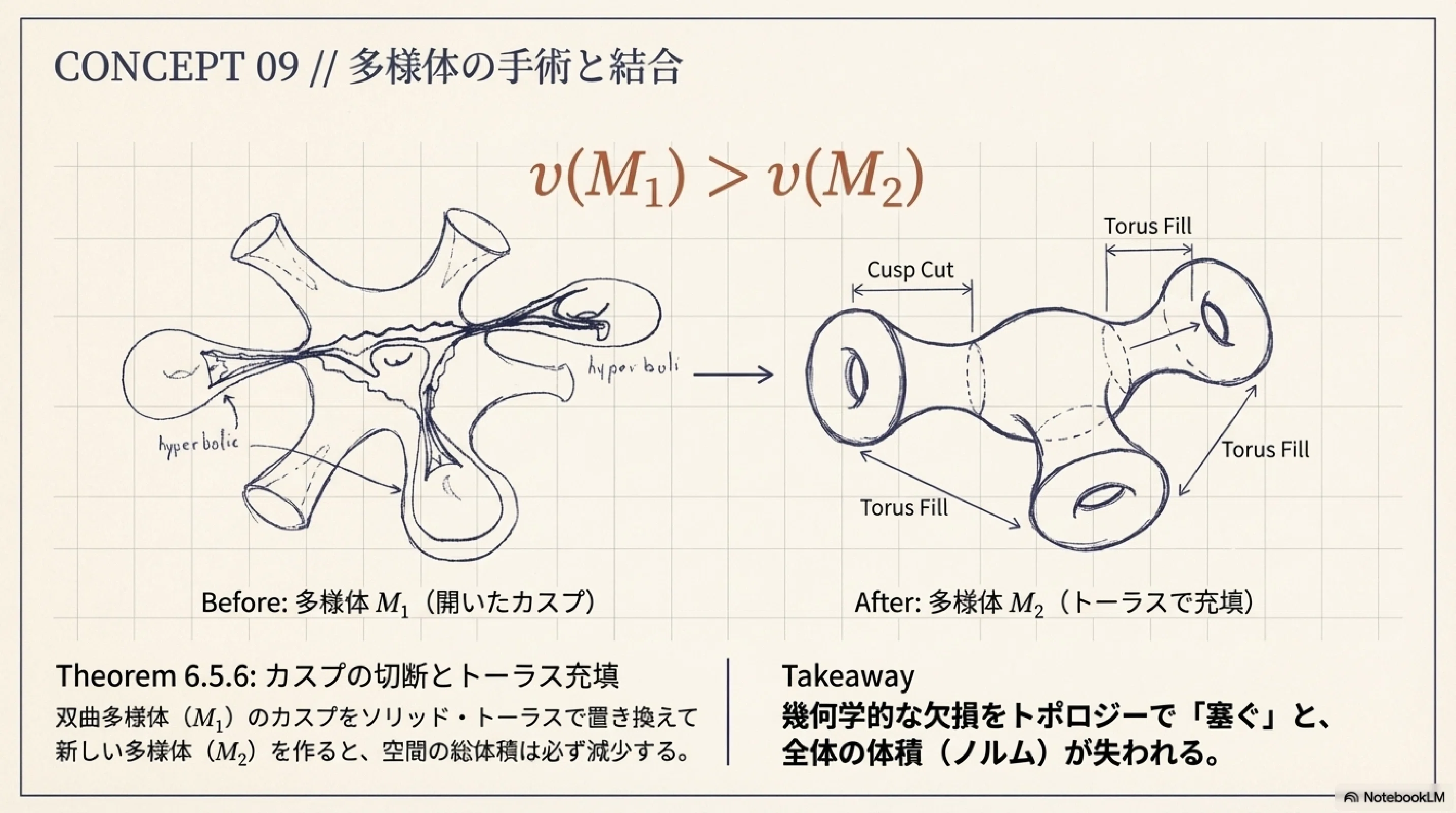 グロモフの不変量と双曲多様体の体積2 ｜ari1110