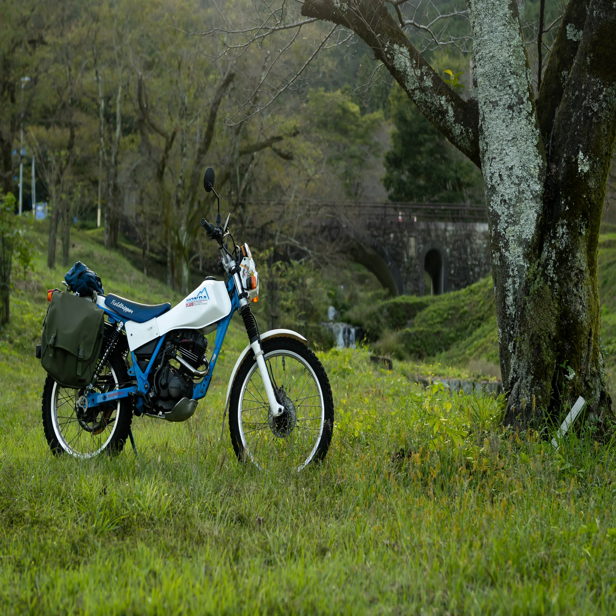 今更ながら、TL125について（軽いレビュー？)｜yurasWorks