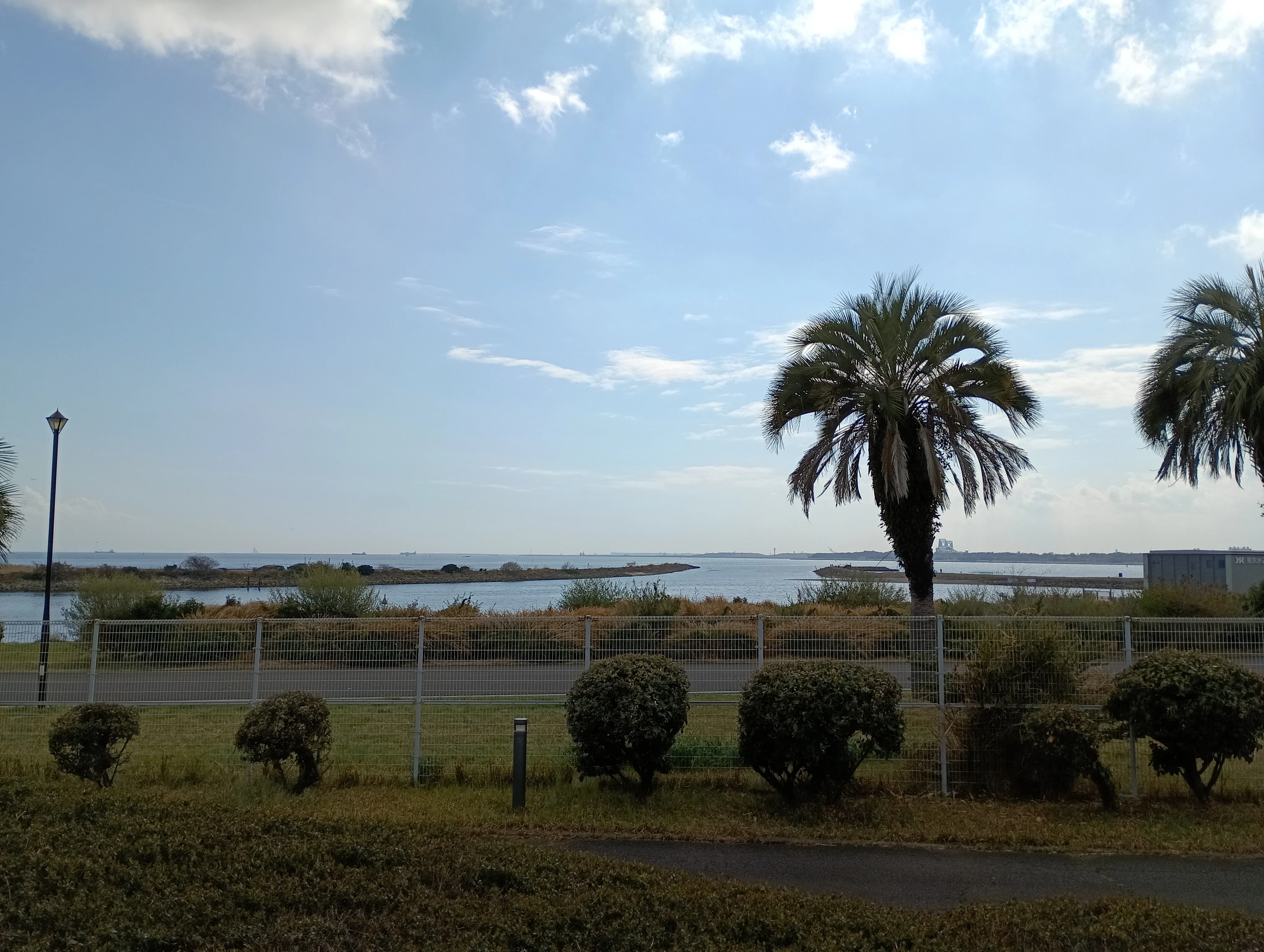 今日の羽田空港 20260327 T2 | 葛西臨海公園側から見て｜く