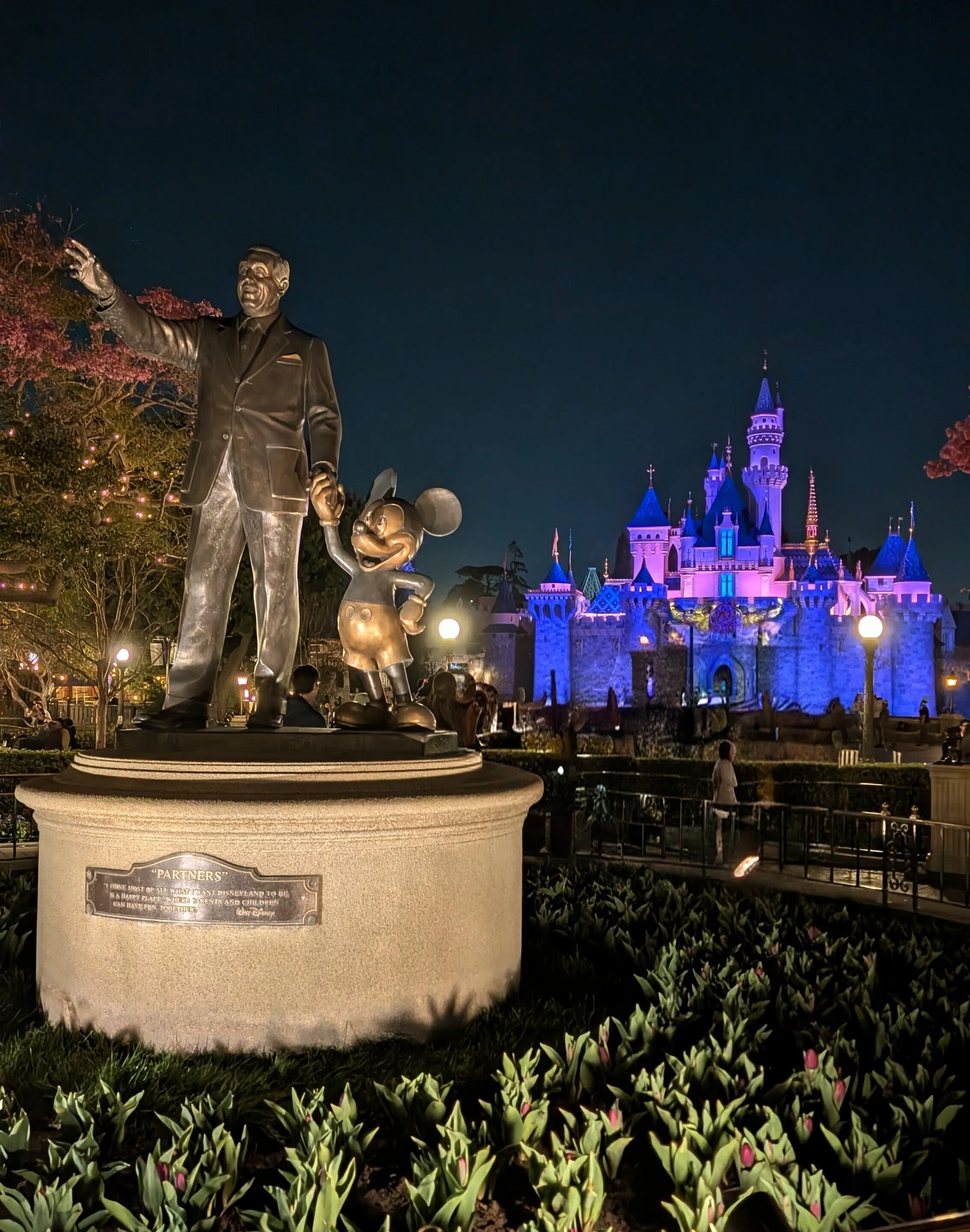 カリフォルニアでぼっちディズニーデビューしたら楽しすぎた｜CHELSEA
