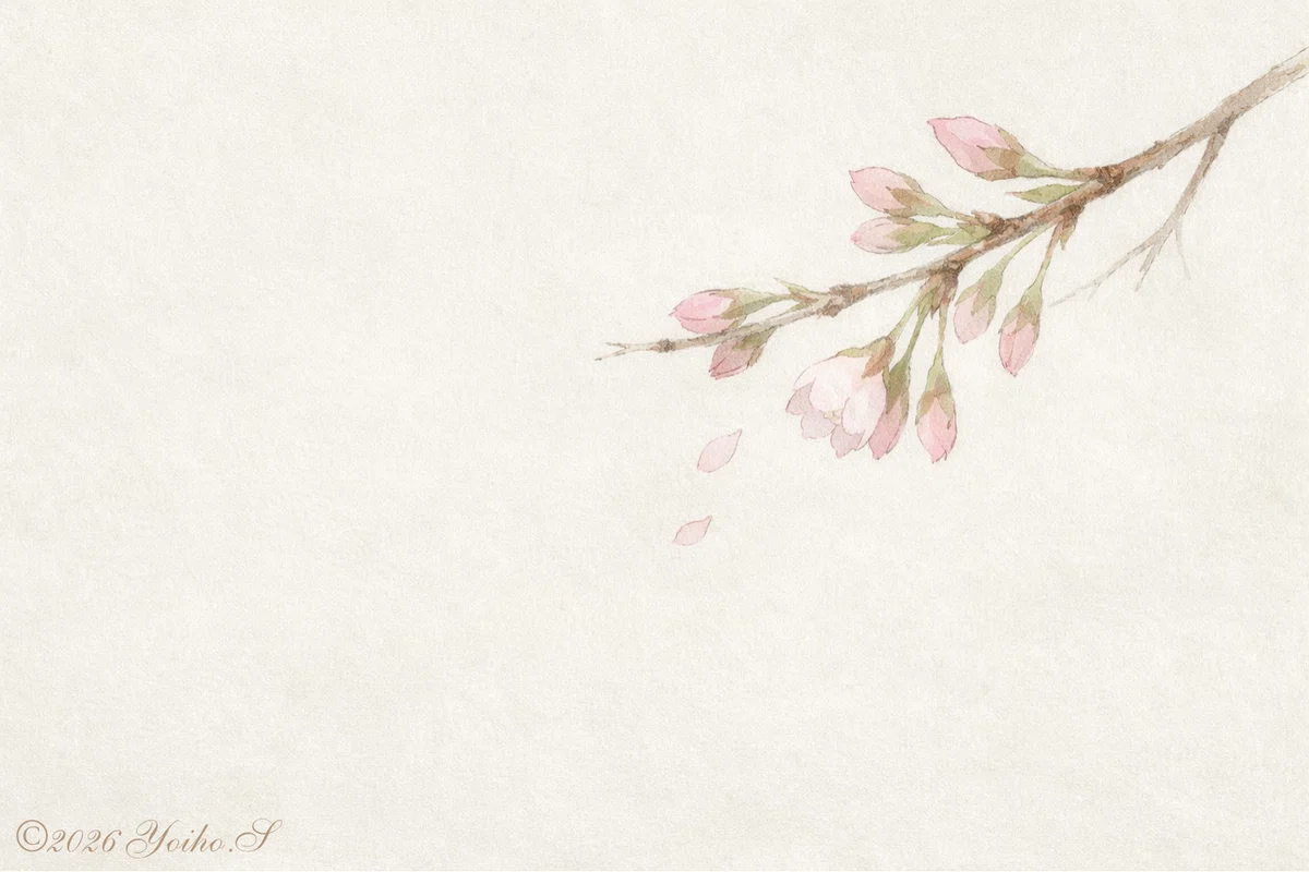 まだ開ききっていない桜のつぼみ