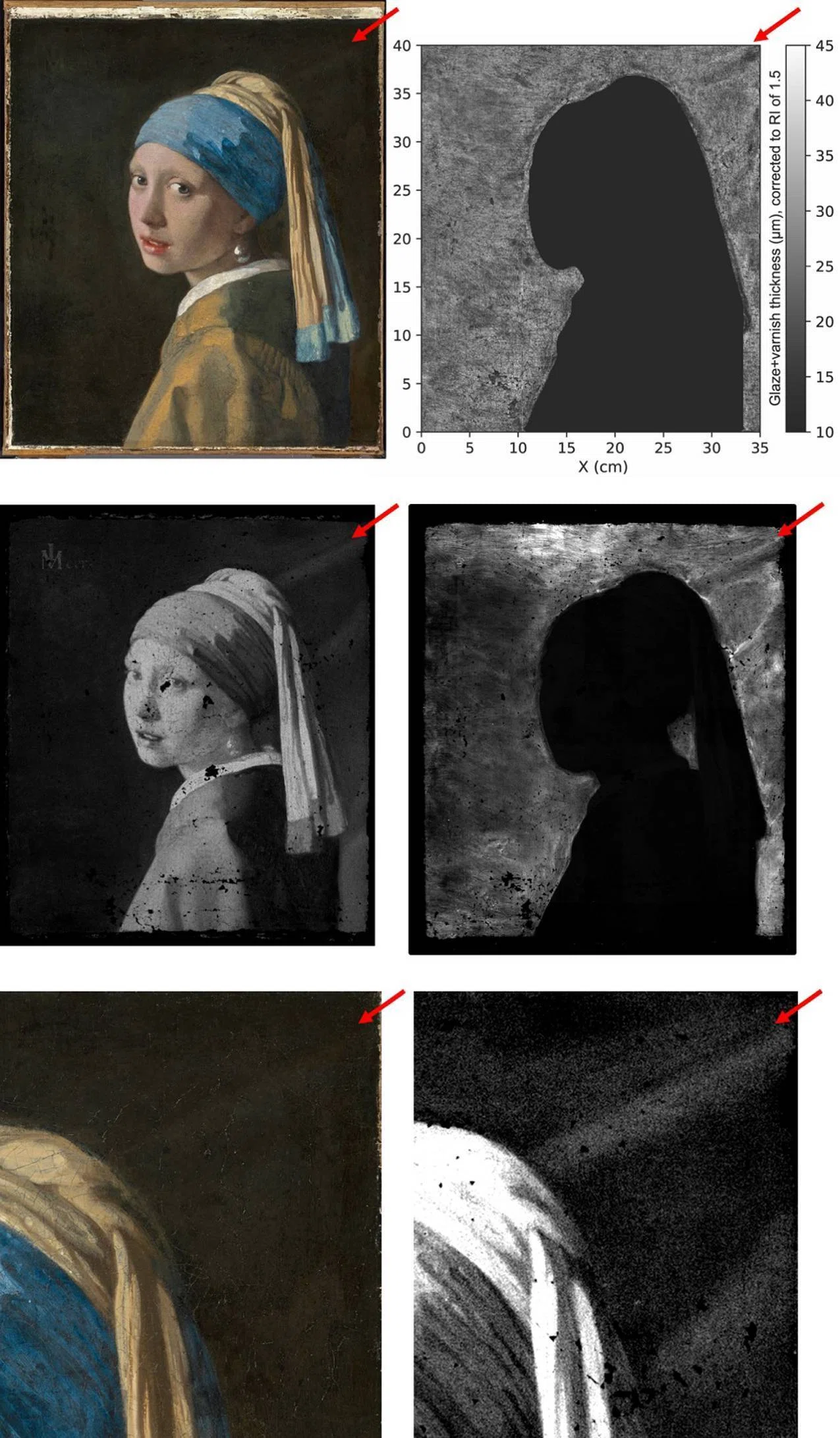 真珠の耳飾りの髑髏 大解剖】フェルメール『真珠の耳飾りの少女』。14年ぶりの来日決定を祝