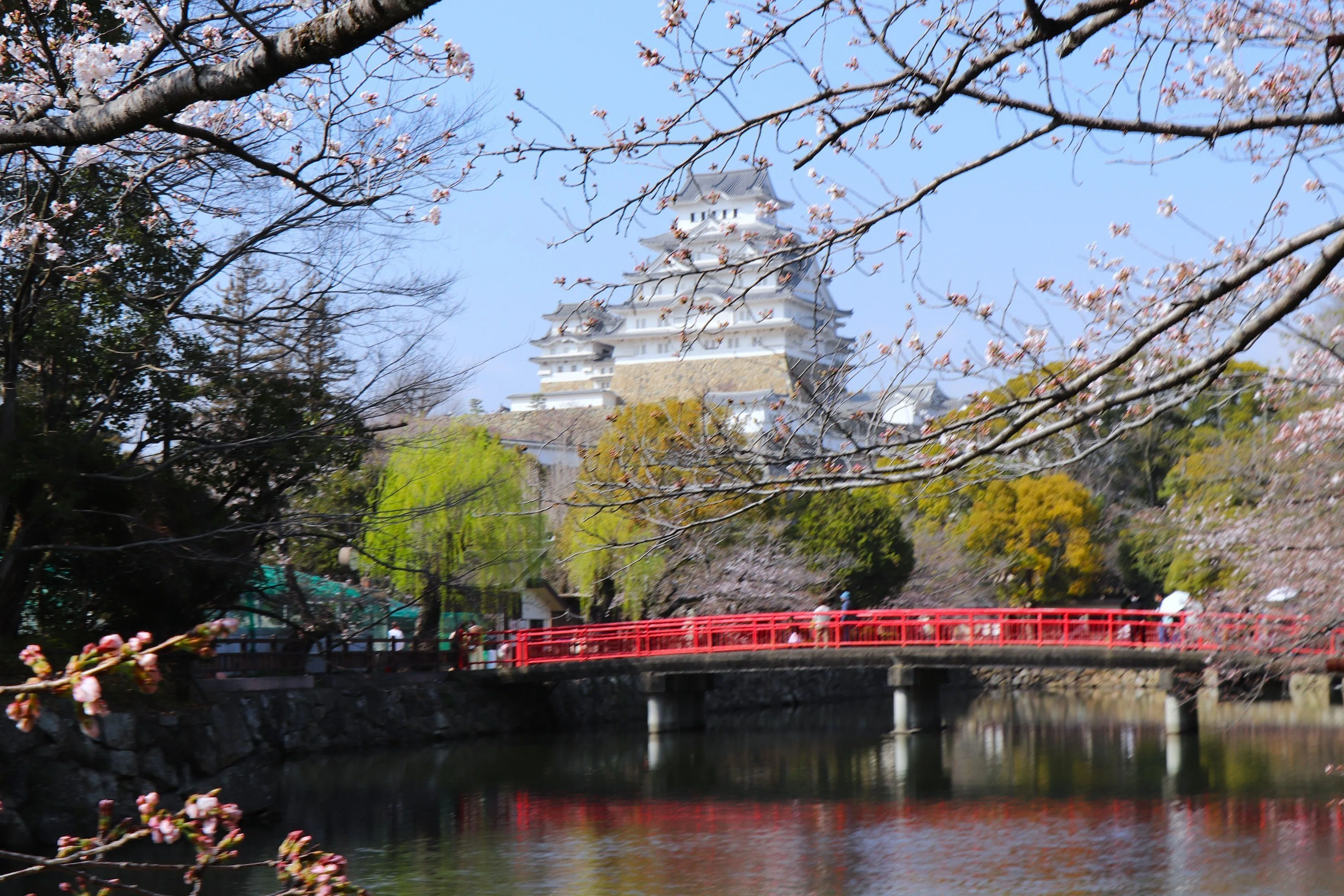 姫路城】桜の絶景ビューポイントを歩いて巡ってみた｜これから訪れる人
