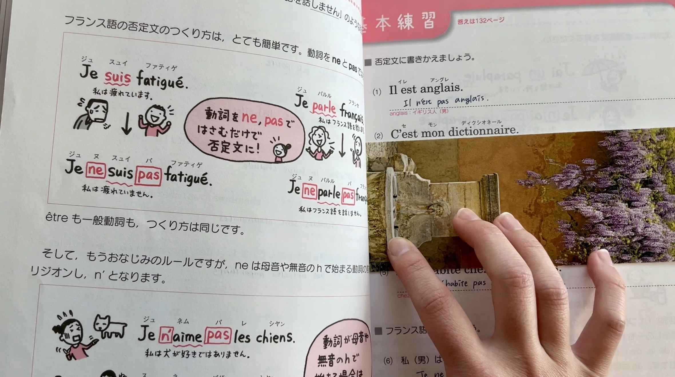 Reussir LE DELF A1 フランス語 テキスト DALF 仏語 Reussir Le Delf : Livre A1 & CD Audio (French Edition): Bruno
