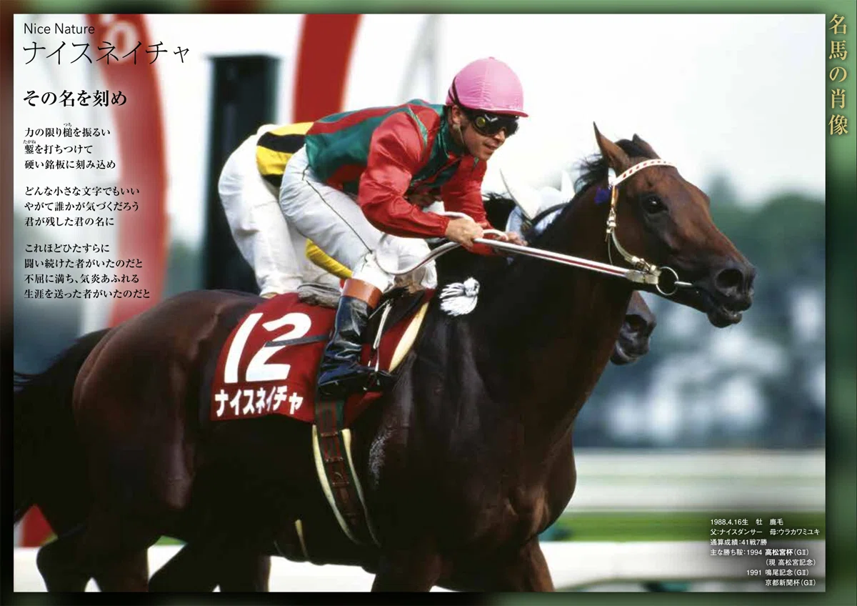高松宮記念2026サイン攻略4【レープロ解読】｜日本サイン競馬会