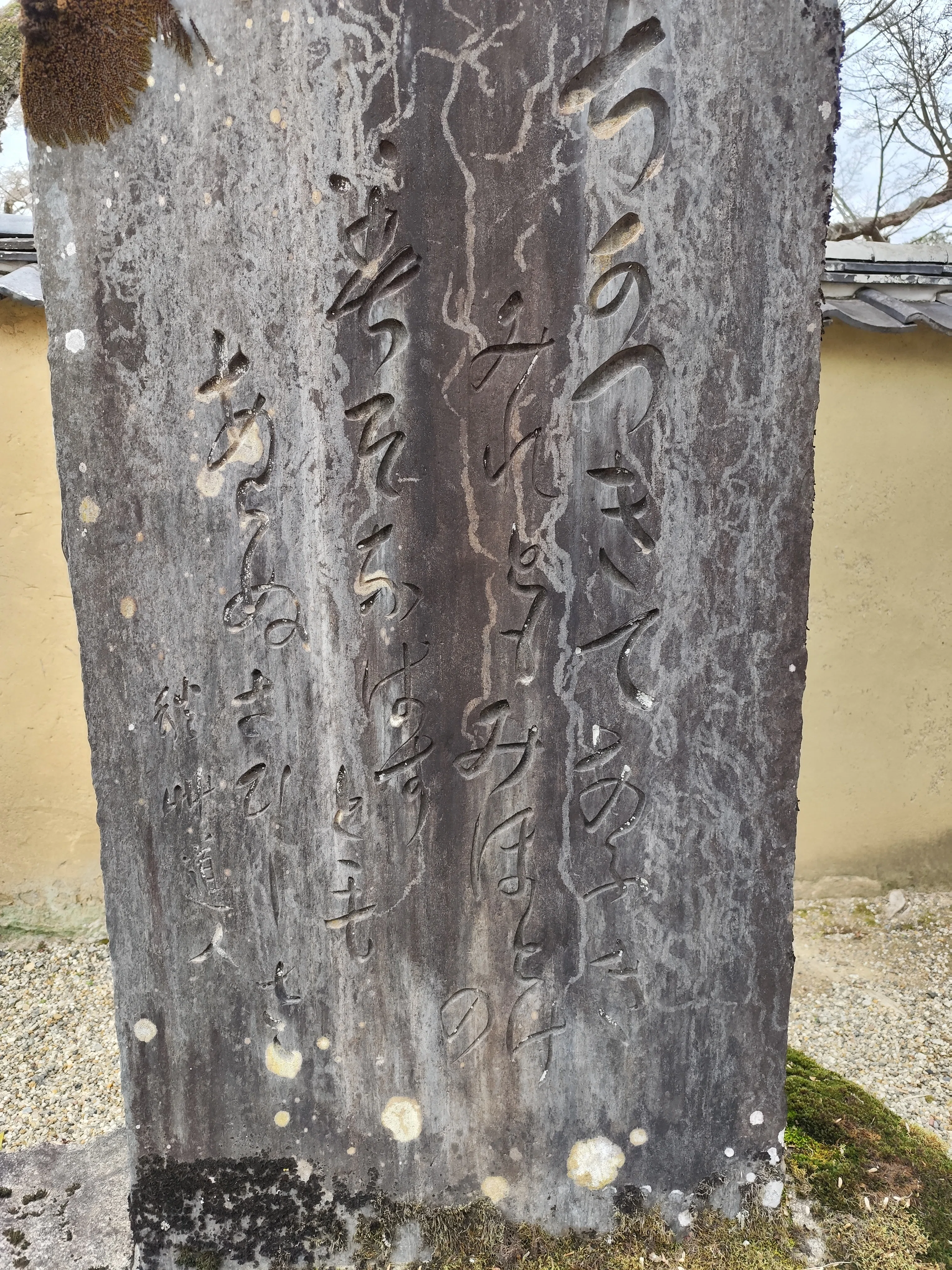 4泊6日近畿旅行〜日本文学2〜｜うり坊