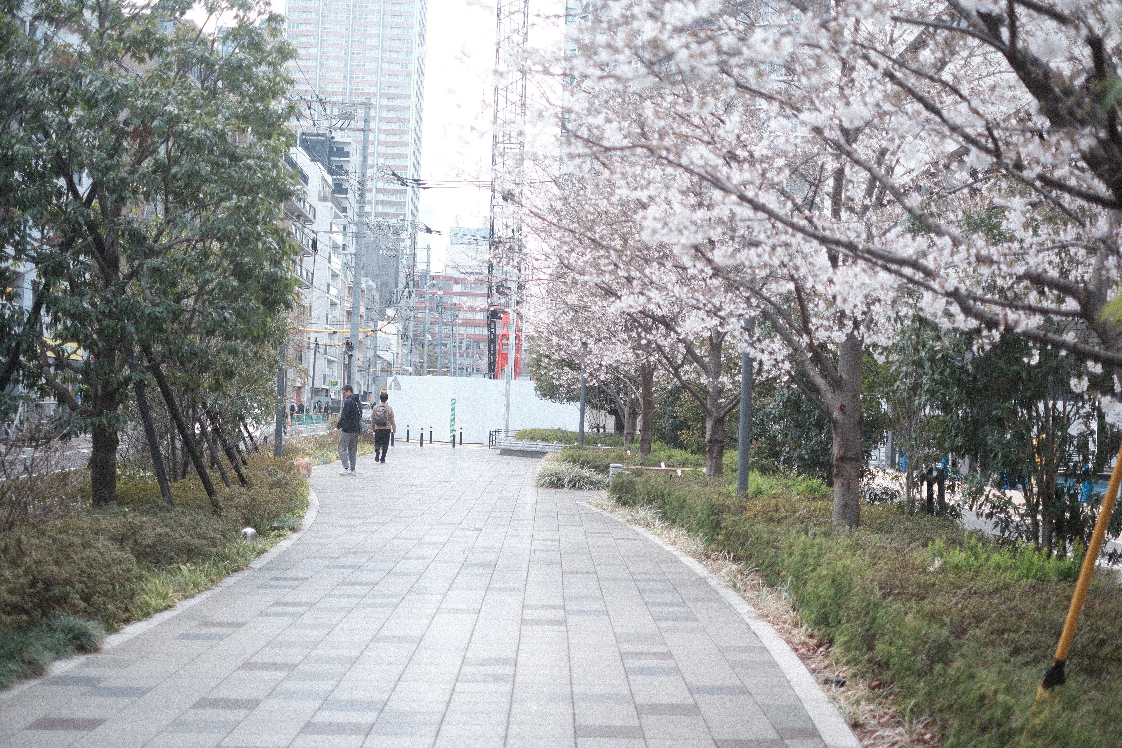 神レンズ」との2日間──XF35mm F1.4 Rが連れてきた空気感｜TAKU