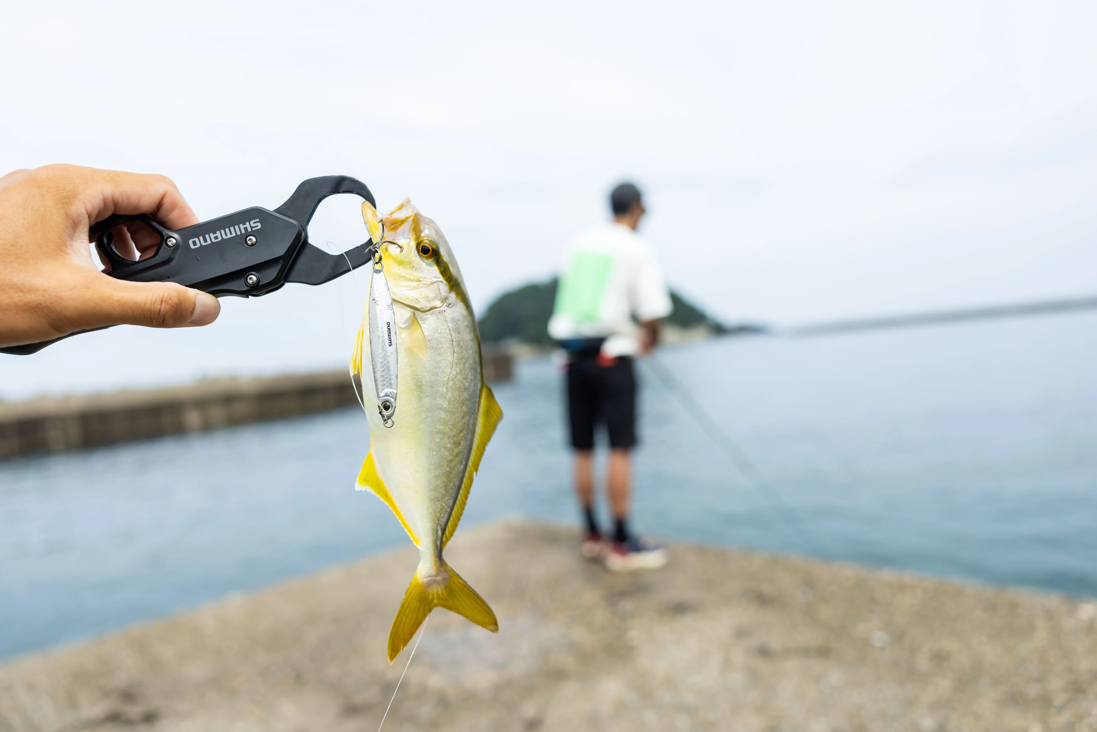シマノ SHIMANO | サーフリーダー インナーガイド 405DX-T FISHING