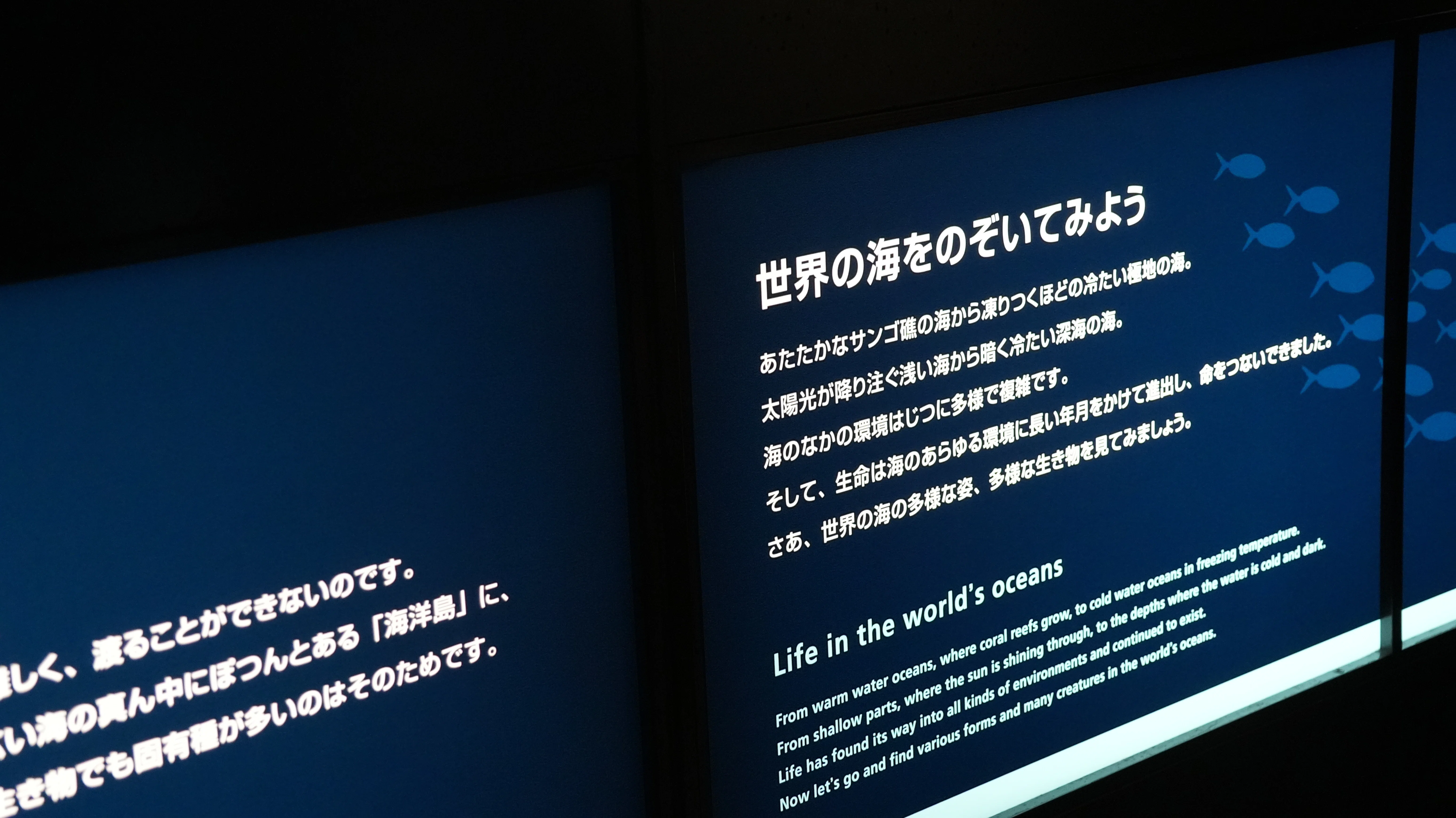 入手不可能！A Background to English(英国の環境) 葛西臨海水族園で学ぶ英語表現【世界の海をのぞいてみよう】｜ここから