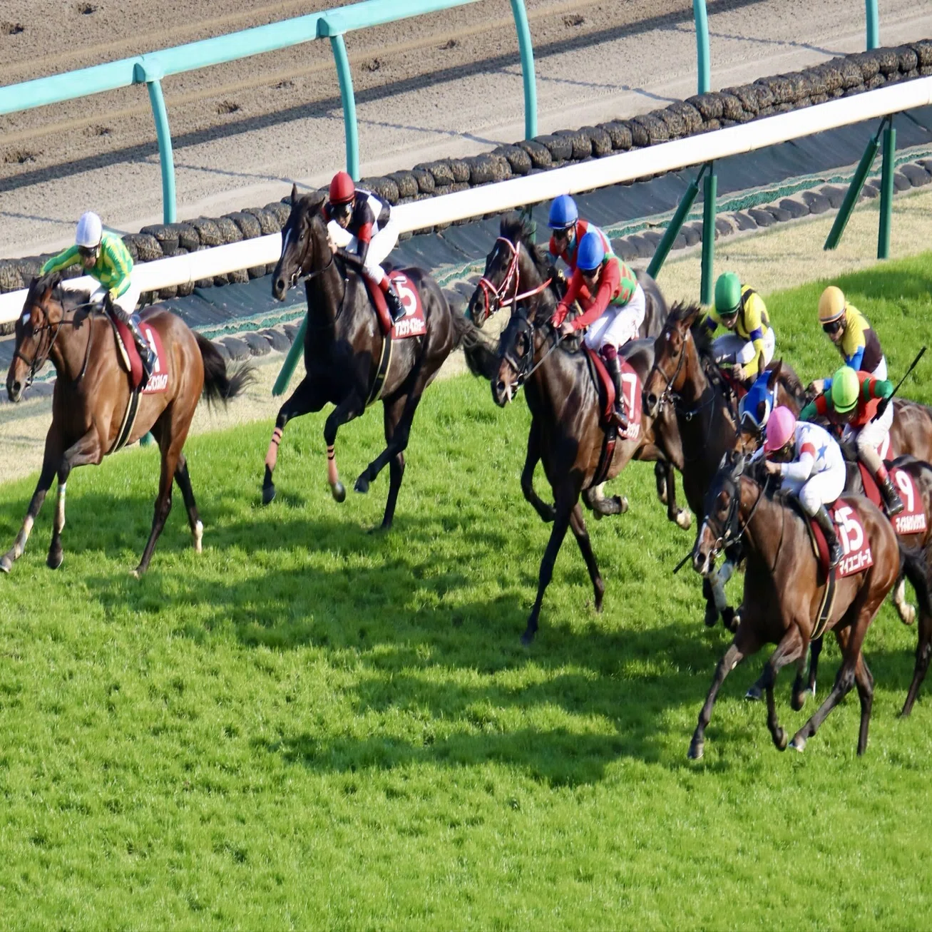 日経賞（GⅡ）回顧】推奨馬コスモキュランダ7着 ～何で!?｜Haya