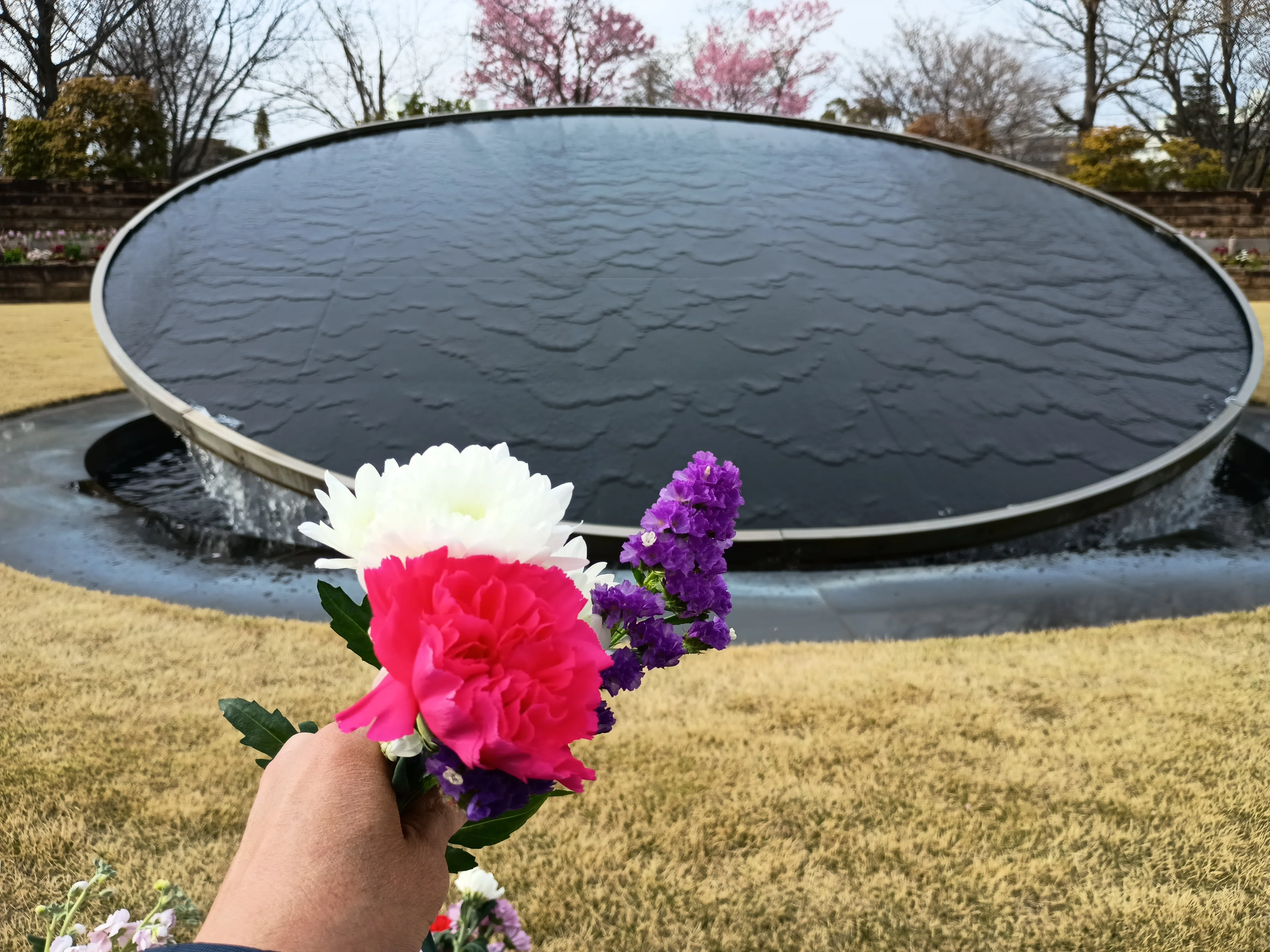 早春の公園墓地。手前に白い菊・ピンクのカーネーション・紫のスターチスの小さな花束を持つ手。背景に黒い波紋模様の大きな円形の水鏡と、咲き始めた桜の木