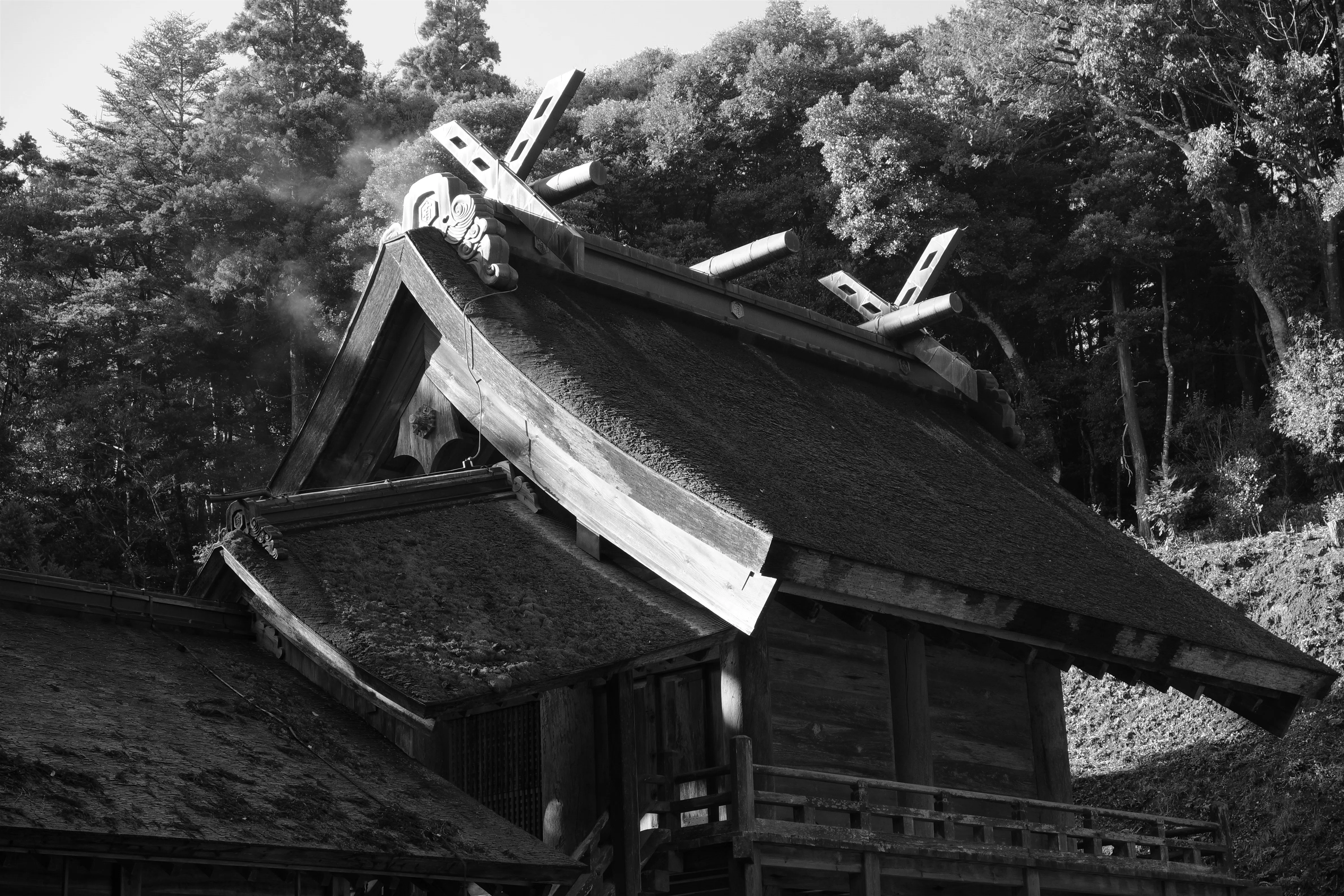偶数間建築さがしノート〜原始の空間への旅〜 その3【神社・原始編
