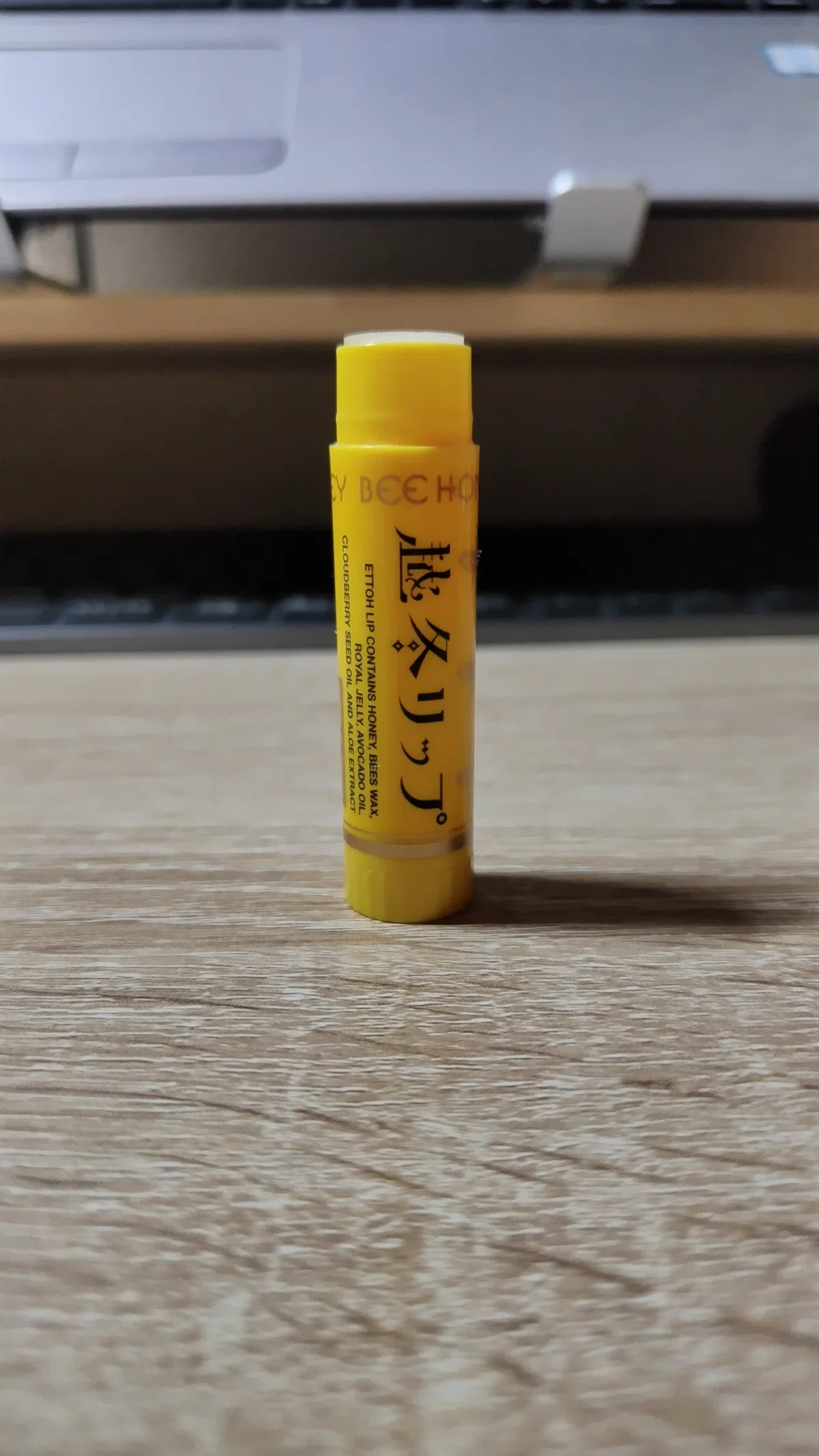 もう一度、冬を越す｜zarinamo