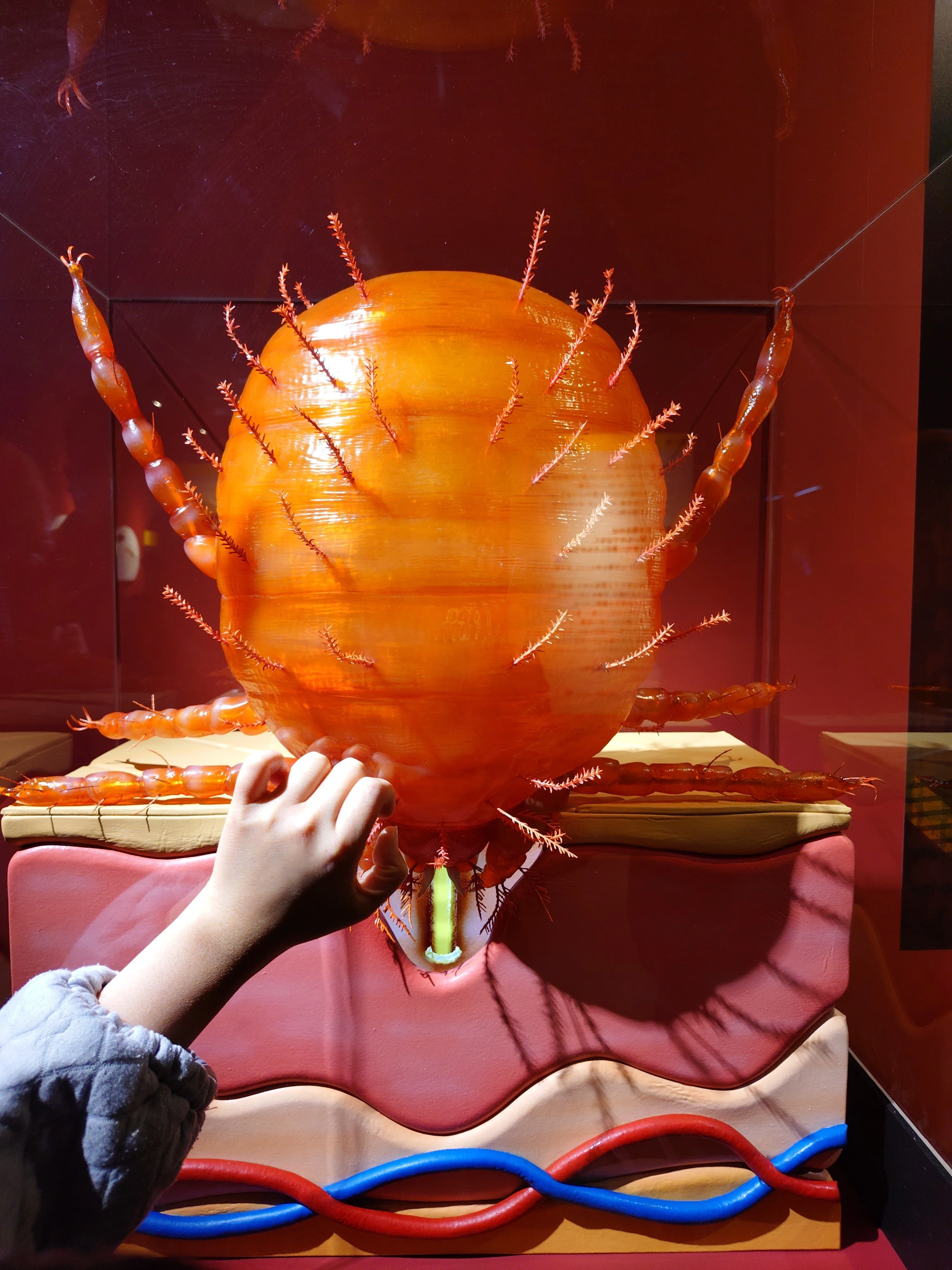 科博の屋上でピクニック&超危険生物展｜sato
