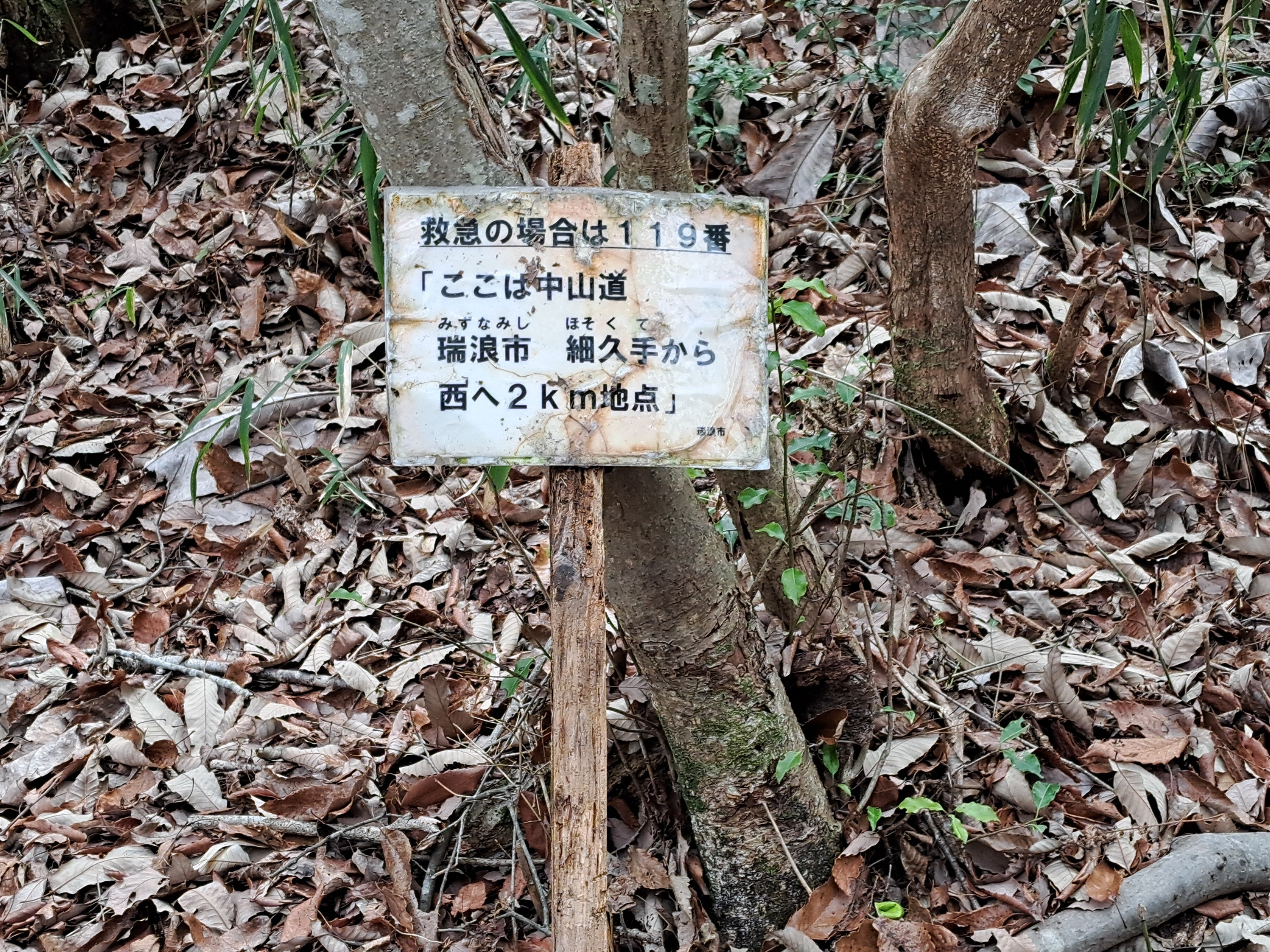 中山道分間延細圖　第十五卷 細久手 御謙 伏見 ColBase