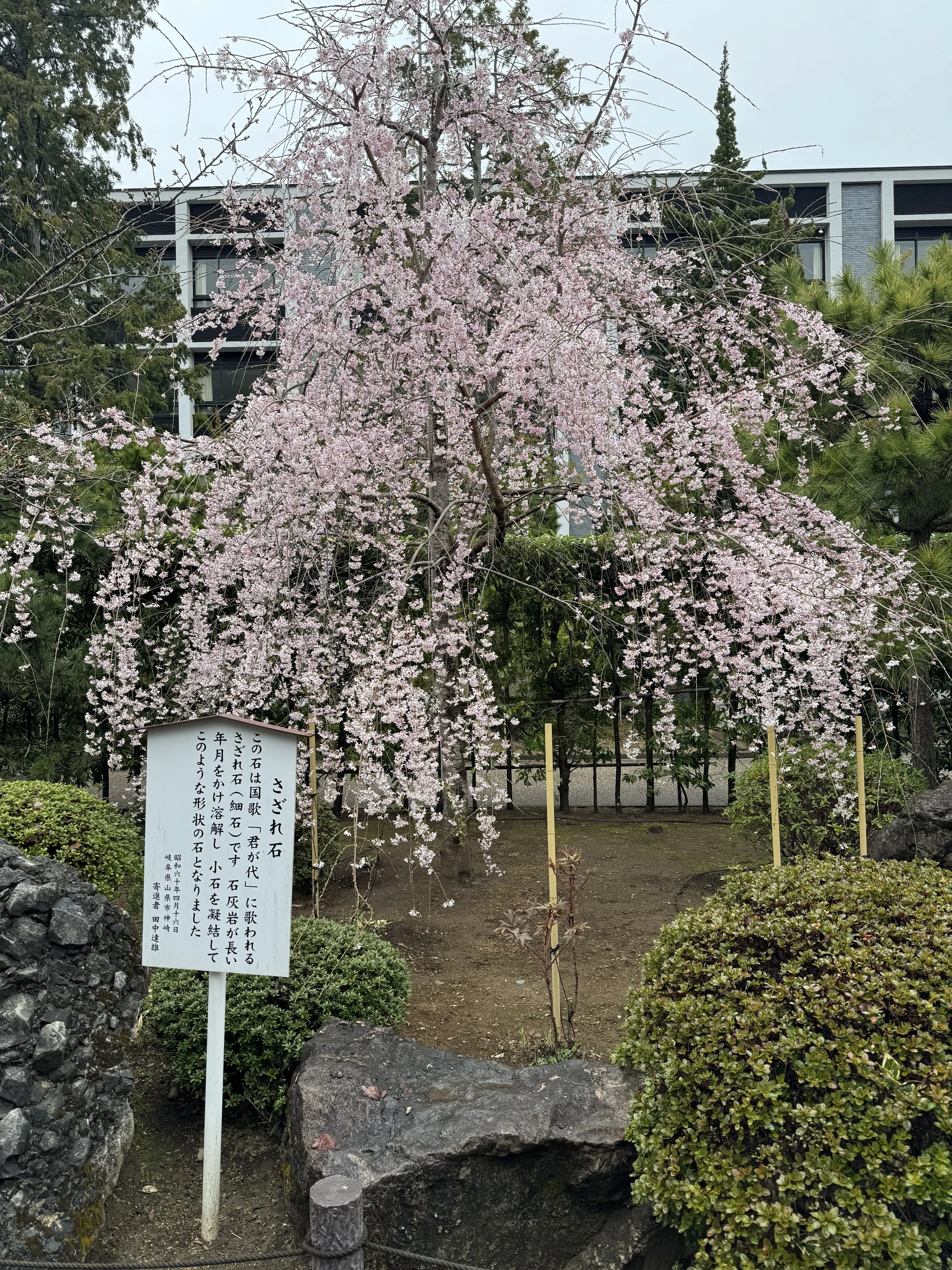 神社仏閣】：建長寺（けんちょうじ）：神奈川県鎌倉市｜上田晃穂