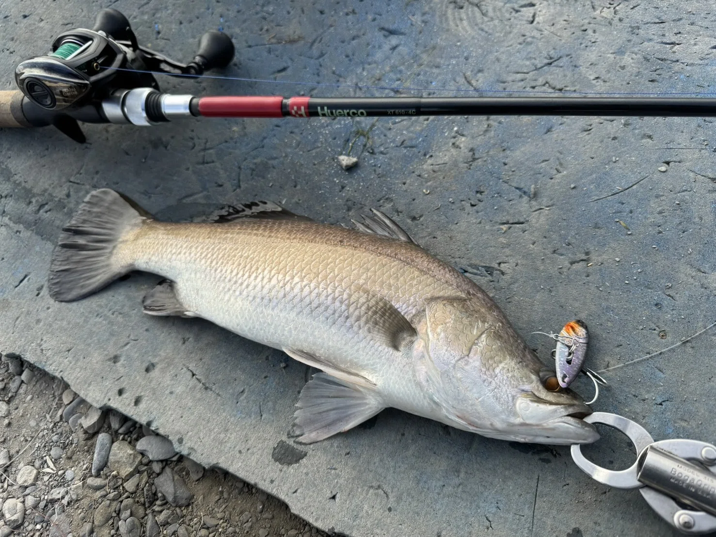 ふらっと台湾まで怪魚釣りに行った話～【後篇】バラマンディと 