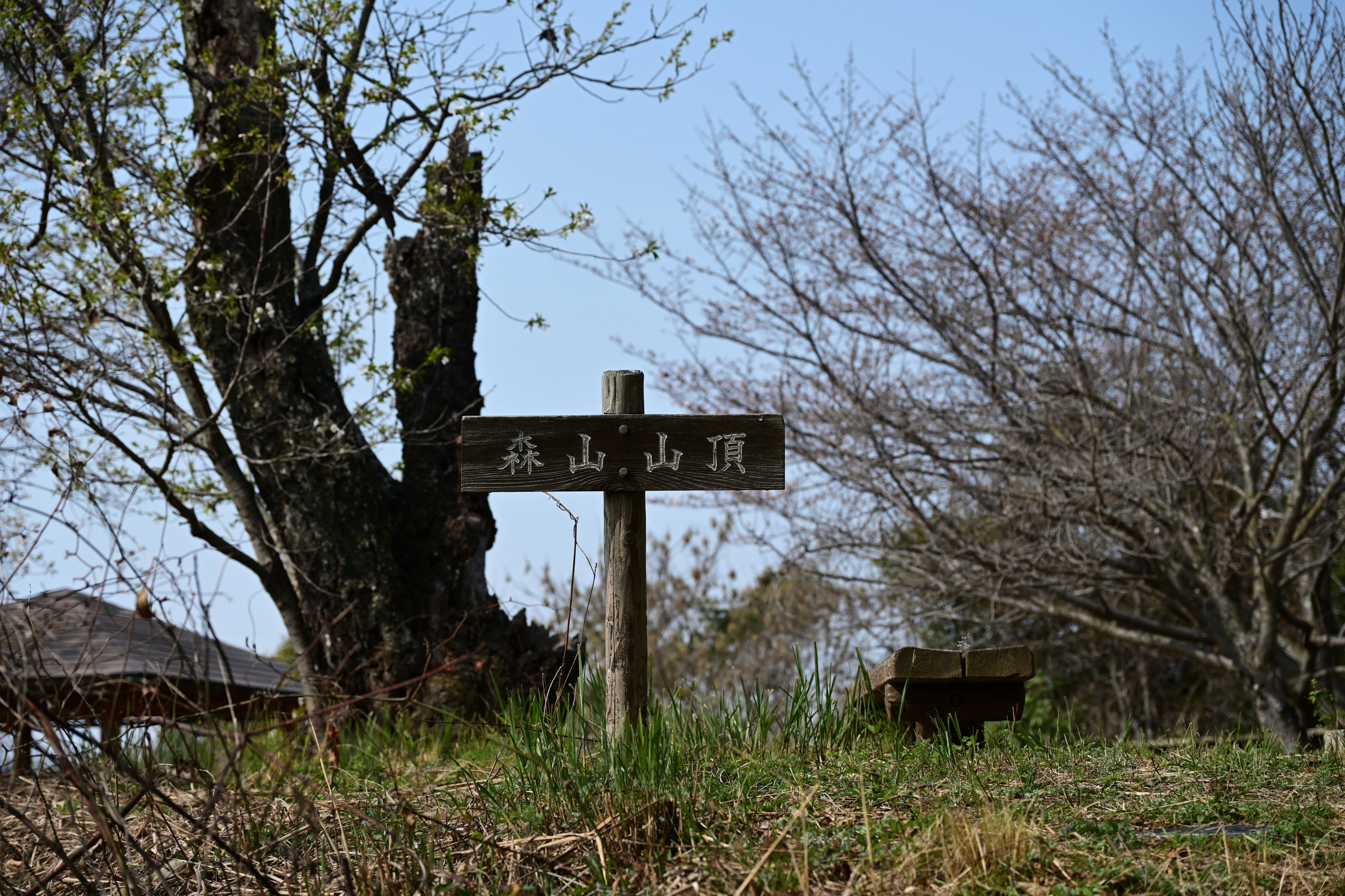 森山(広島県坂町)へ②｜K.Y.