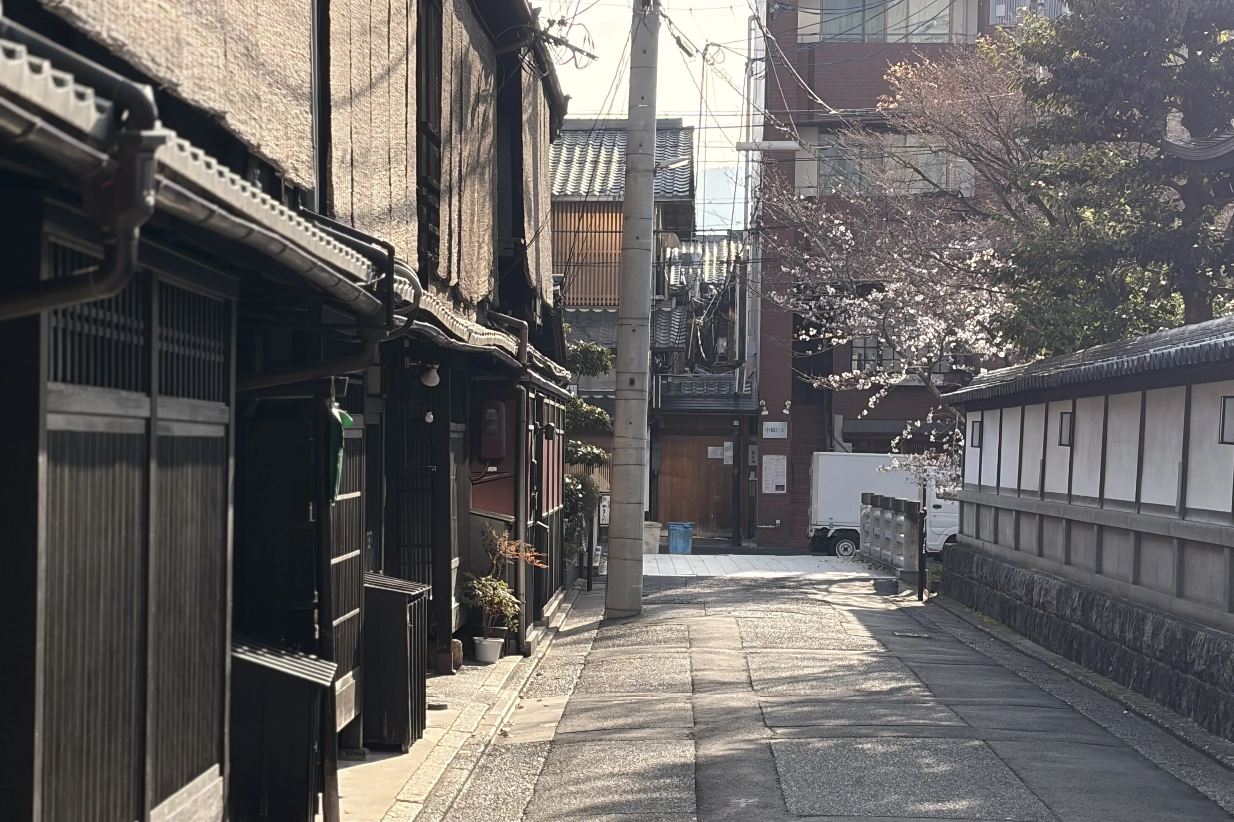 散ってはまた咲く桜のように、変化の中に生きていこうと心に決めた春