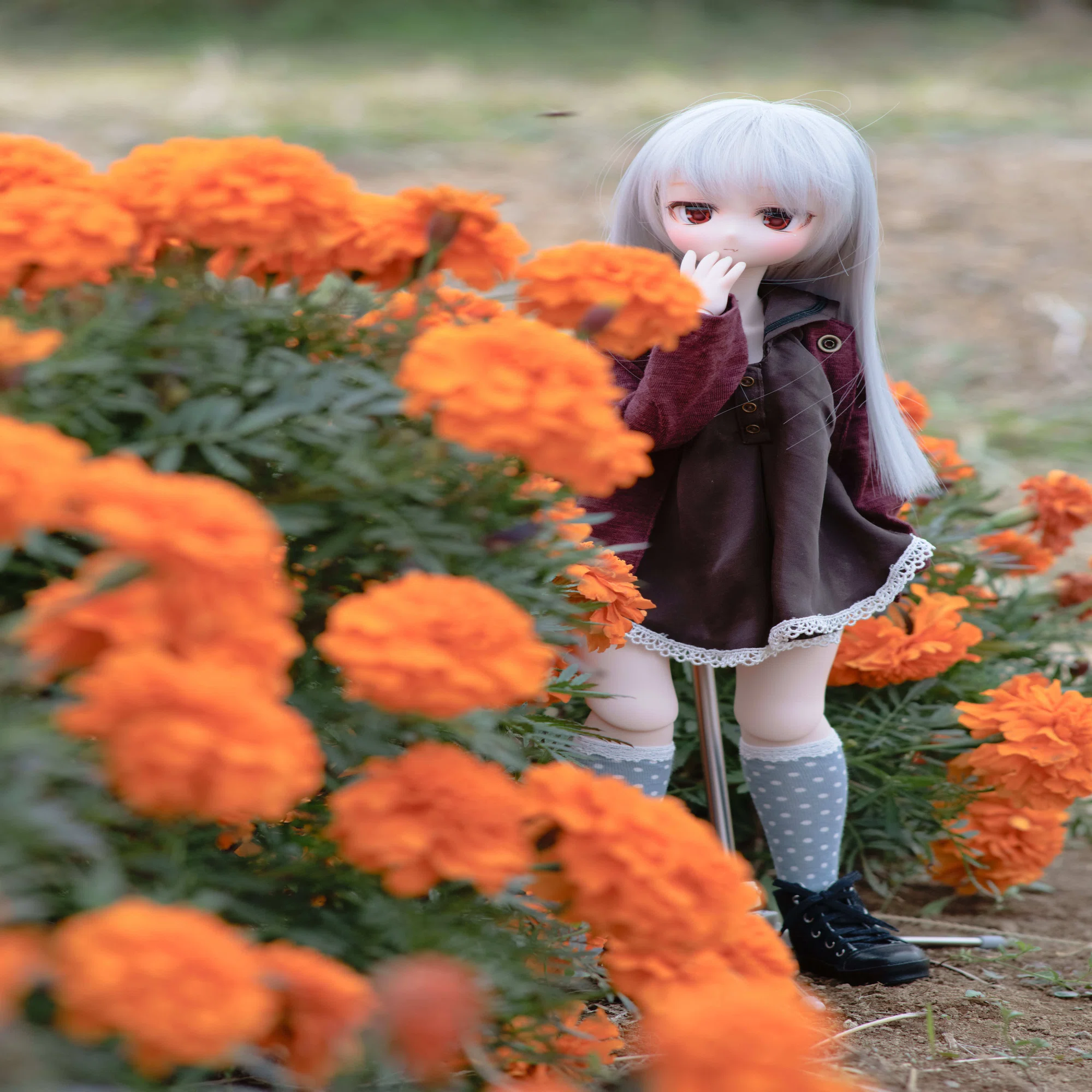 レンズレビュー】New FD135mm F3.5｜K2SND