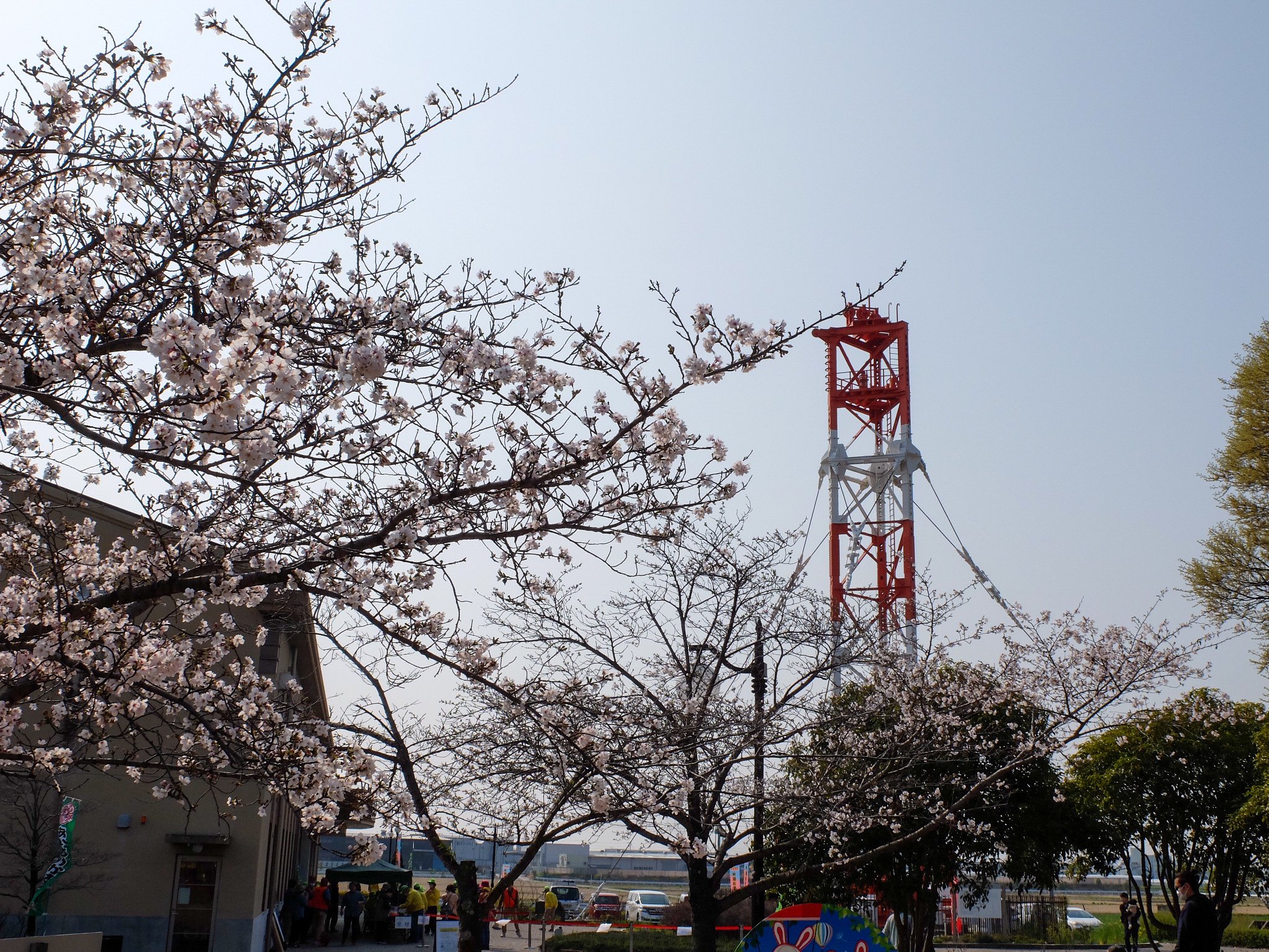 FUJI X―30で桜狩り｜セるしうす