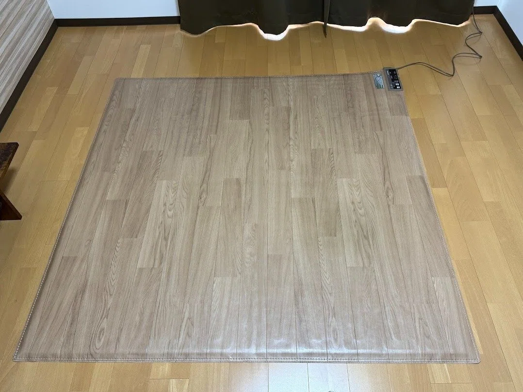 Panasonic Easy Floor Heater DC-2V4 Review | Honest Impressions