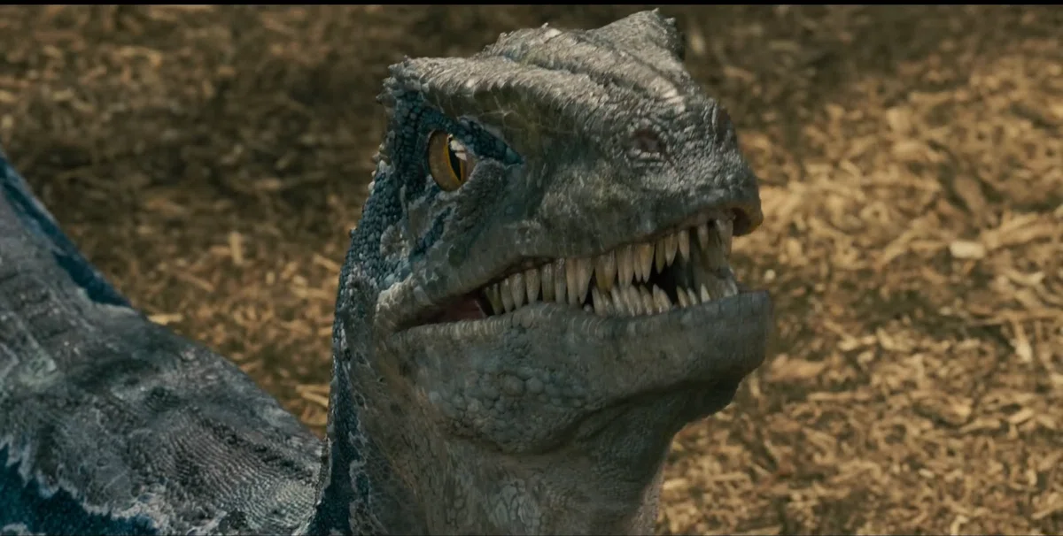 [Shocking] That terrifying raptor was actually a 