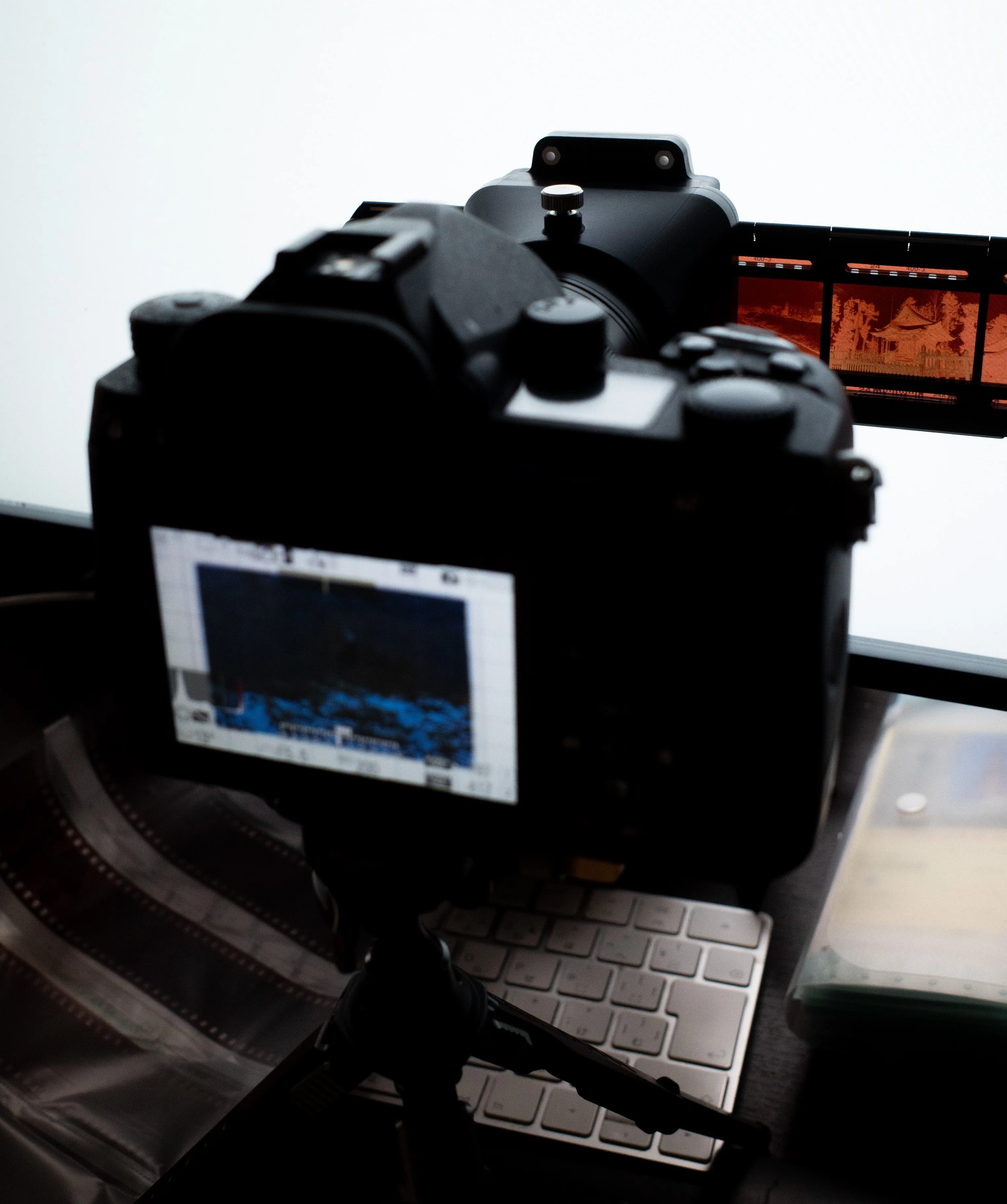 フィルムカメラで遊んでみる。PENTAX LX (実写編)｜がま