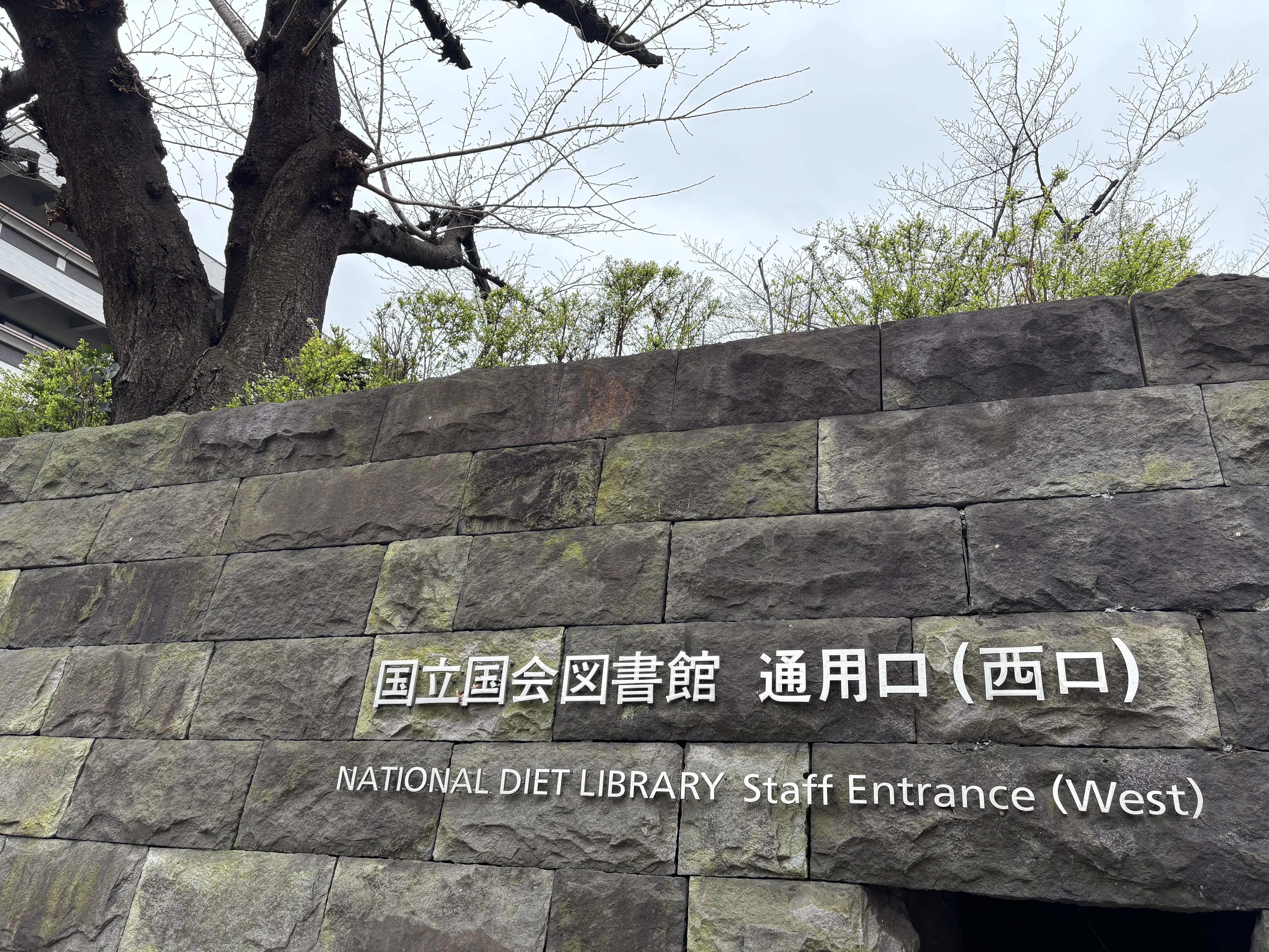 国立国会図書館にZINEを納本してきた話｜本田すのう