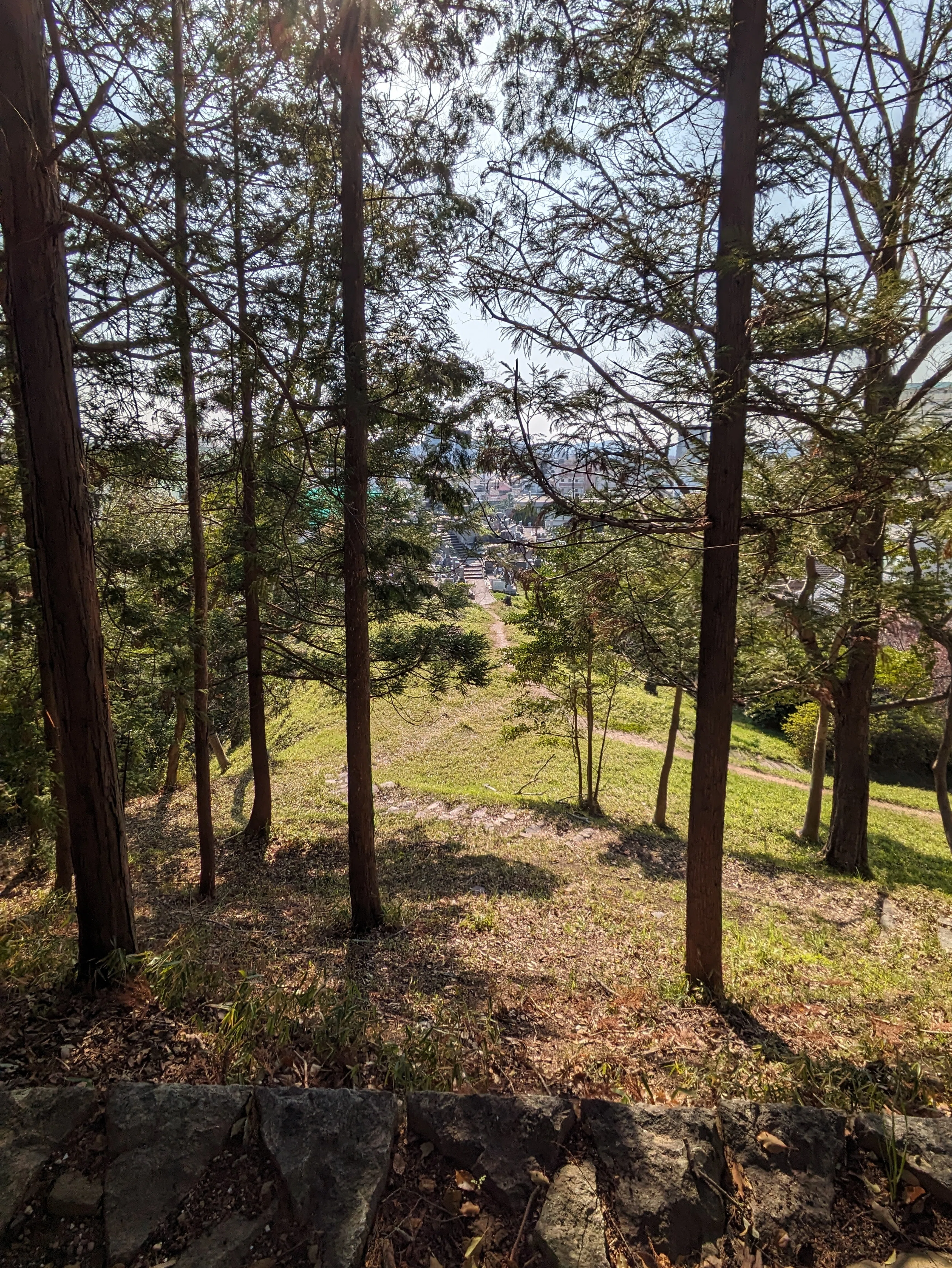 【美品】矢藤治山弥生墳丘墓 発掘調査報告書 近藤義郎　古墳　埴輪　考古学 埴輪の故郷を巡る旅｜古墳時代史解題
