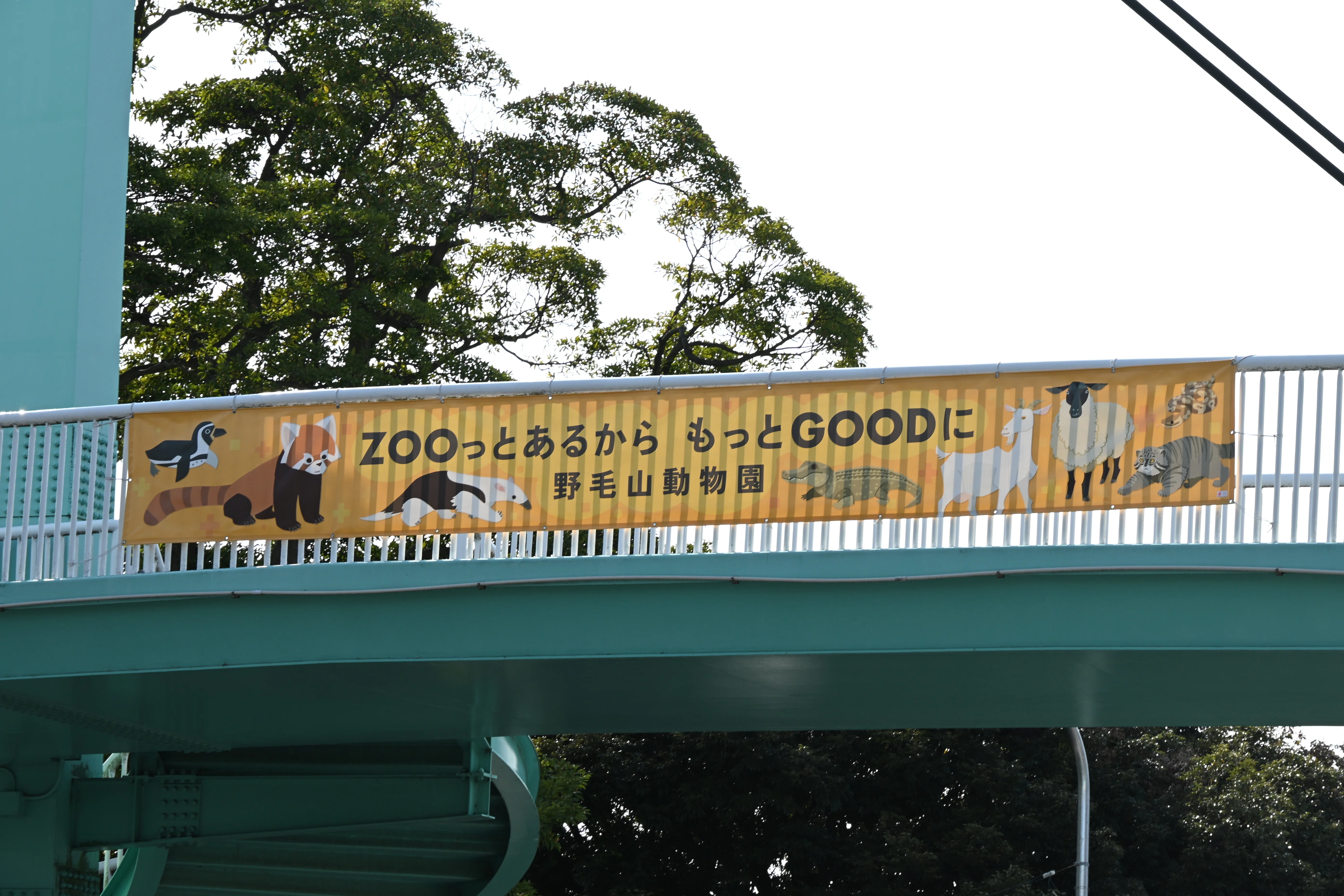 20260328_野毛山動物園【Nikon Z50IIと動物園】｜山ネズミ