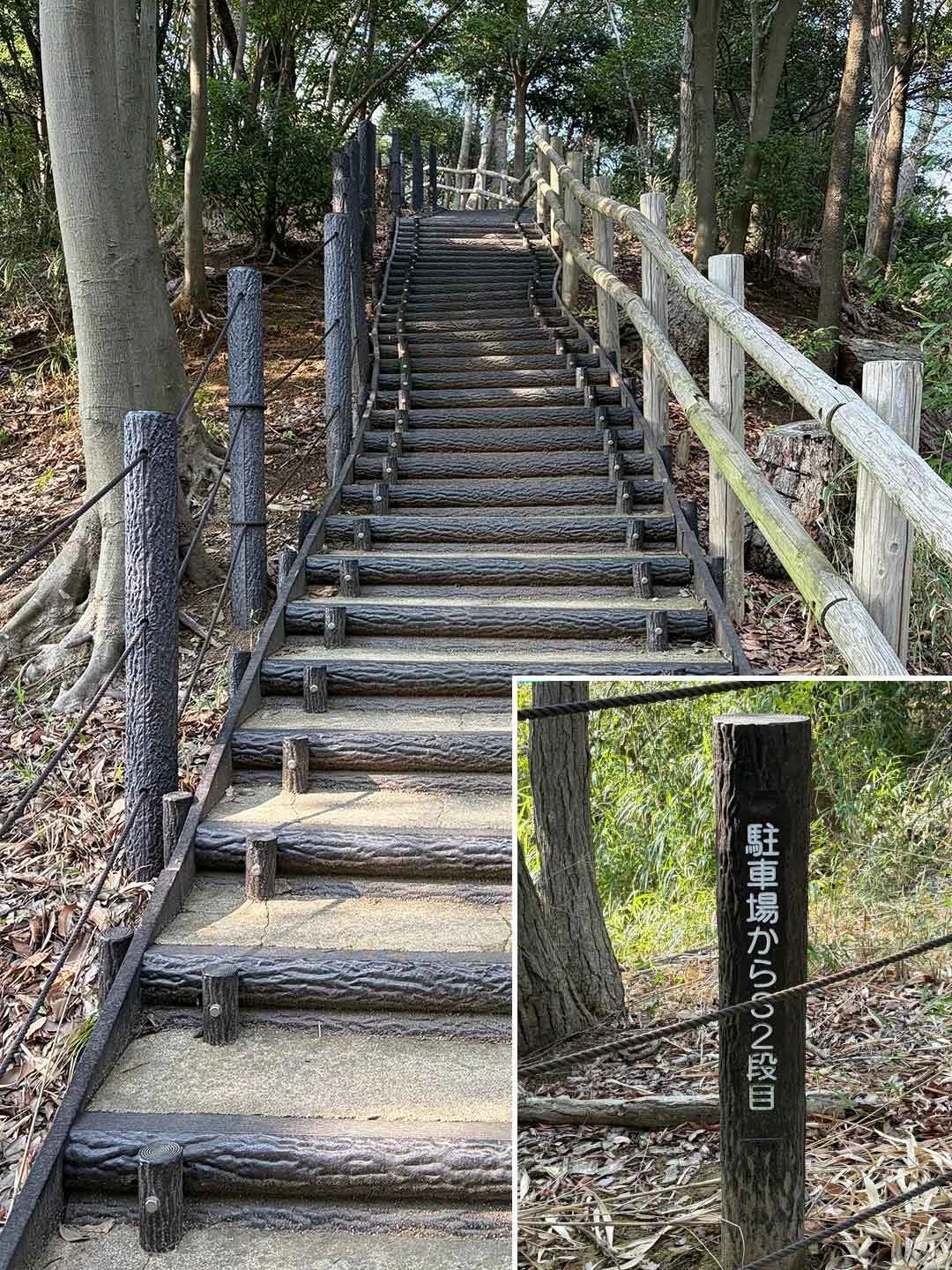 川崎市宮前区】坂と階段と長寿の区で217段の階段に挑戦！ 川崎市内2位