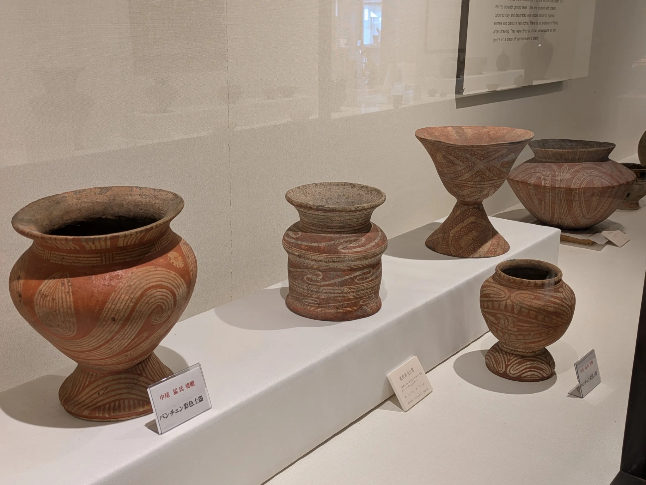 ヨコタ博物館・春の常設展示2｜レオナール・フグ田🐚