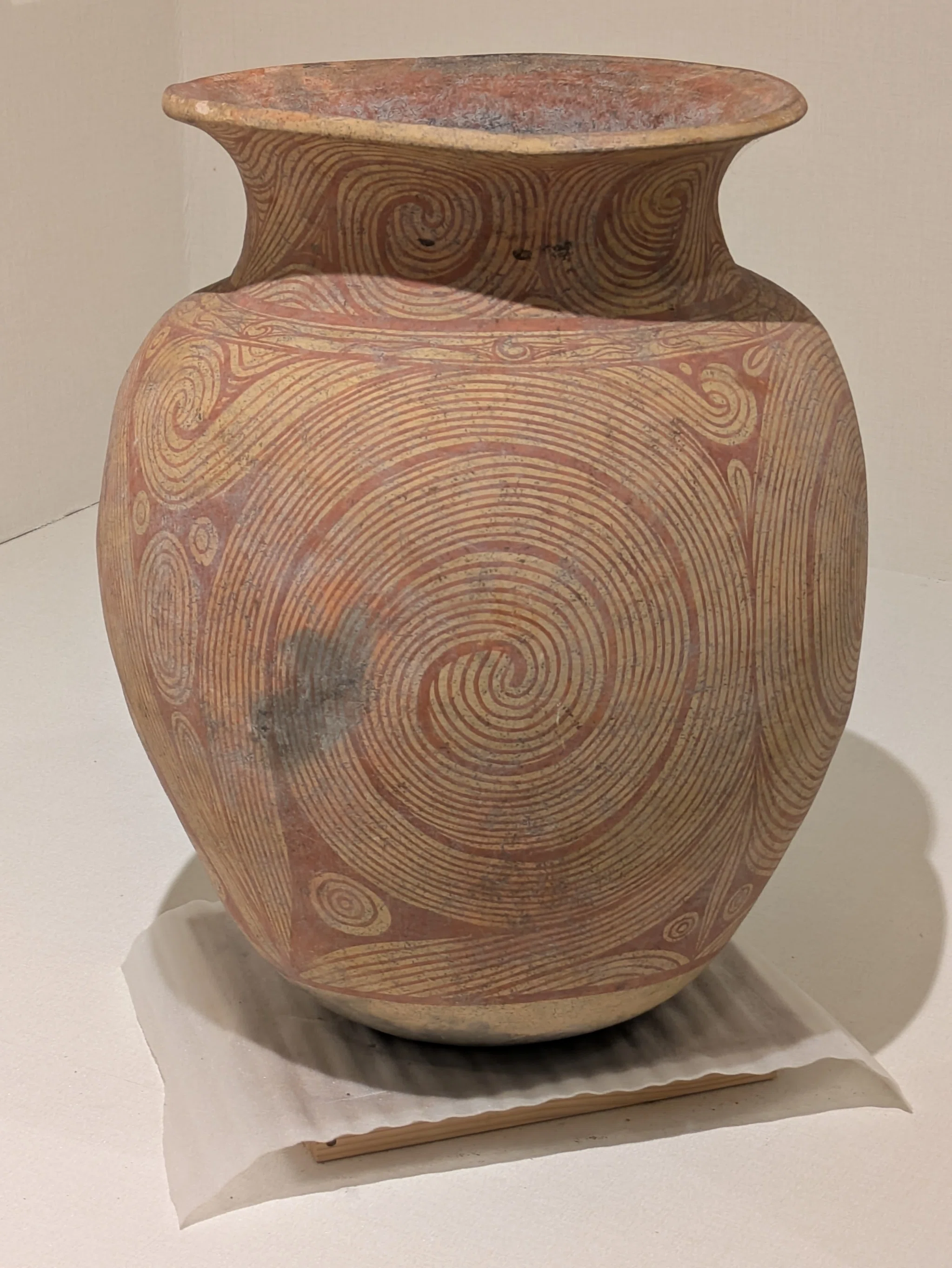 ヨコタ博物館・春の常設展示2｜レオナール・フグ田🐚