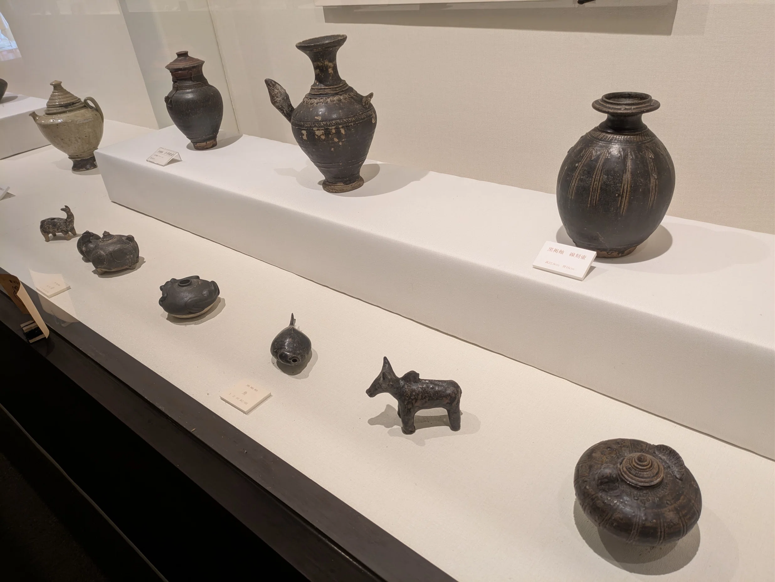 ヨコタ博物館・春の常設展示2｜レオナール・フグ田🐚
