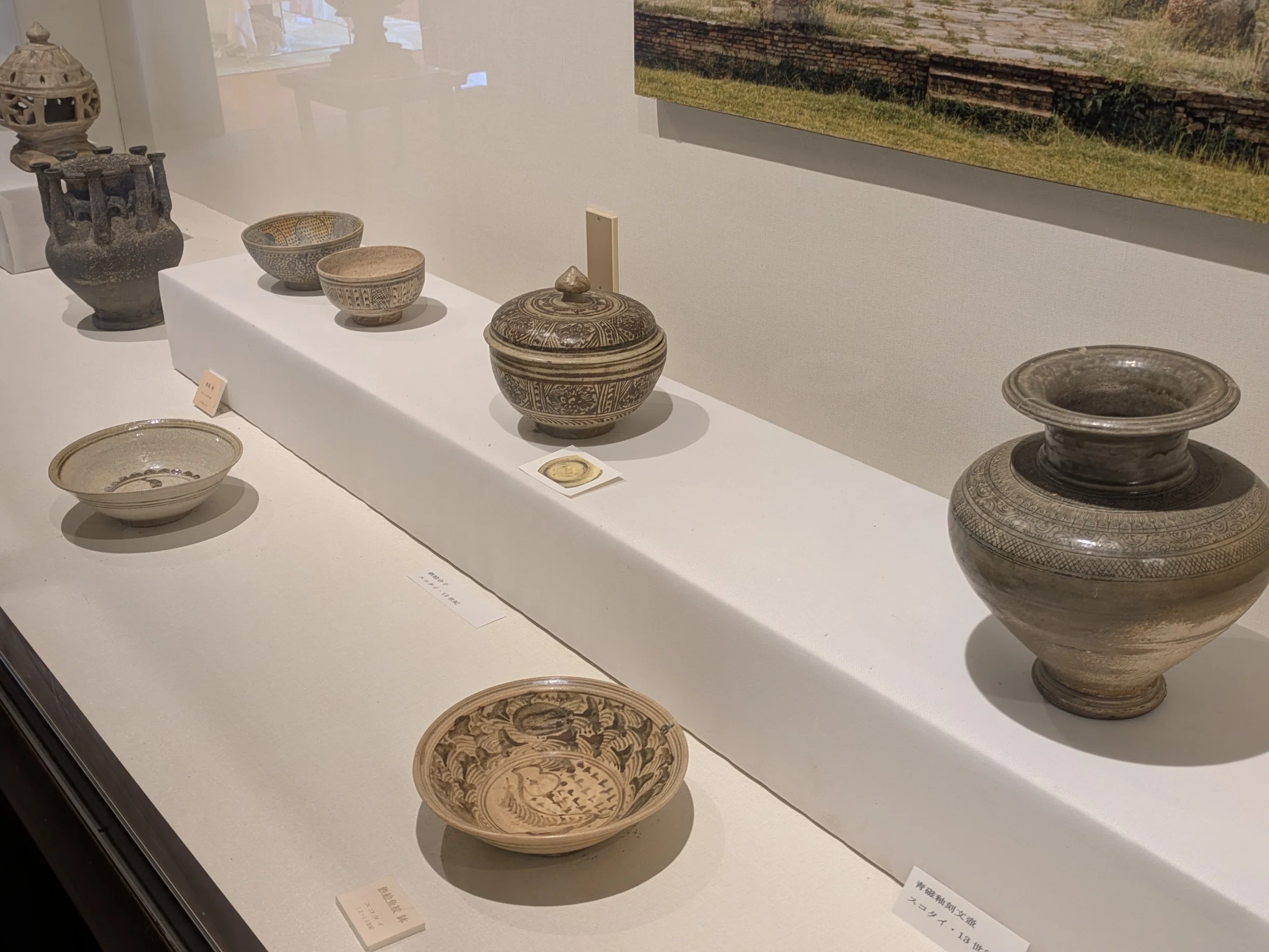 ヨコタ博物館・春の常設展示2｜レオナール・フグ田🐚