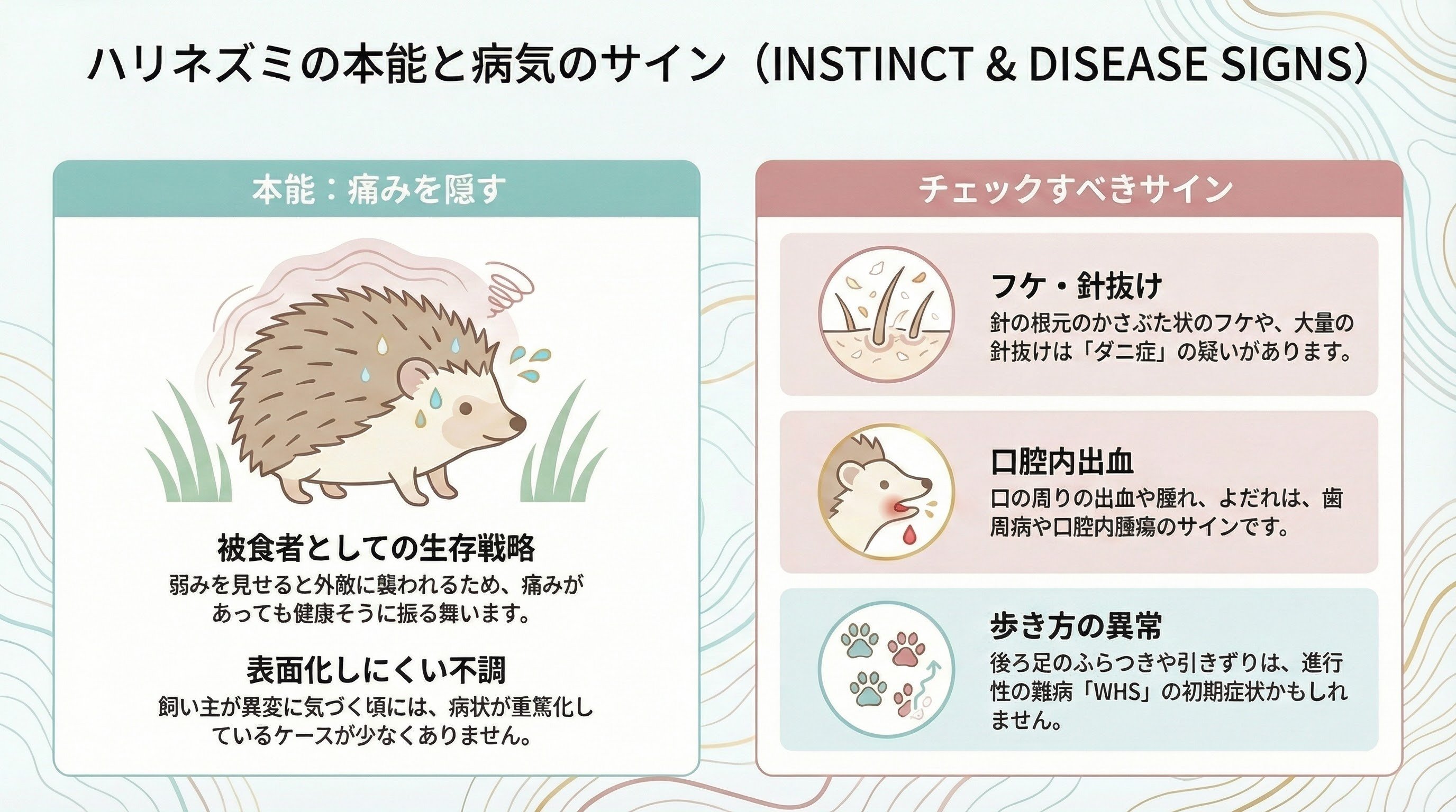 第6回】飼育の壁③ 本能が隠す「病気のサイン」と特有の疾患｜日本