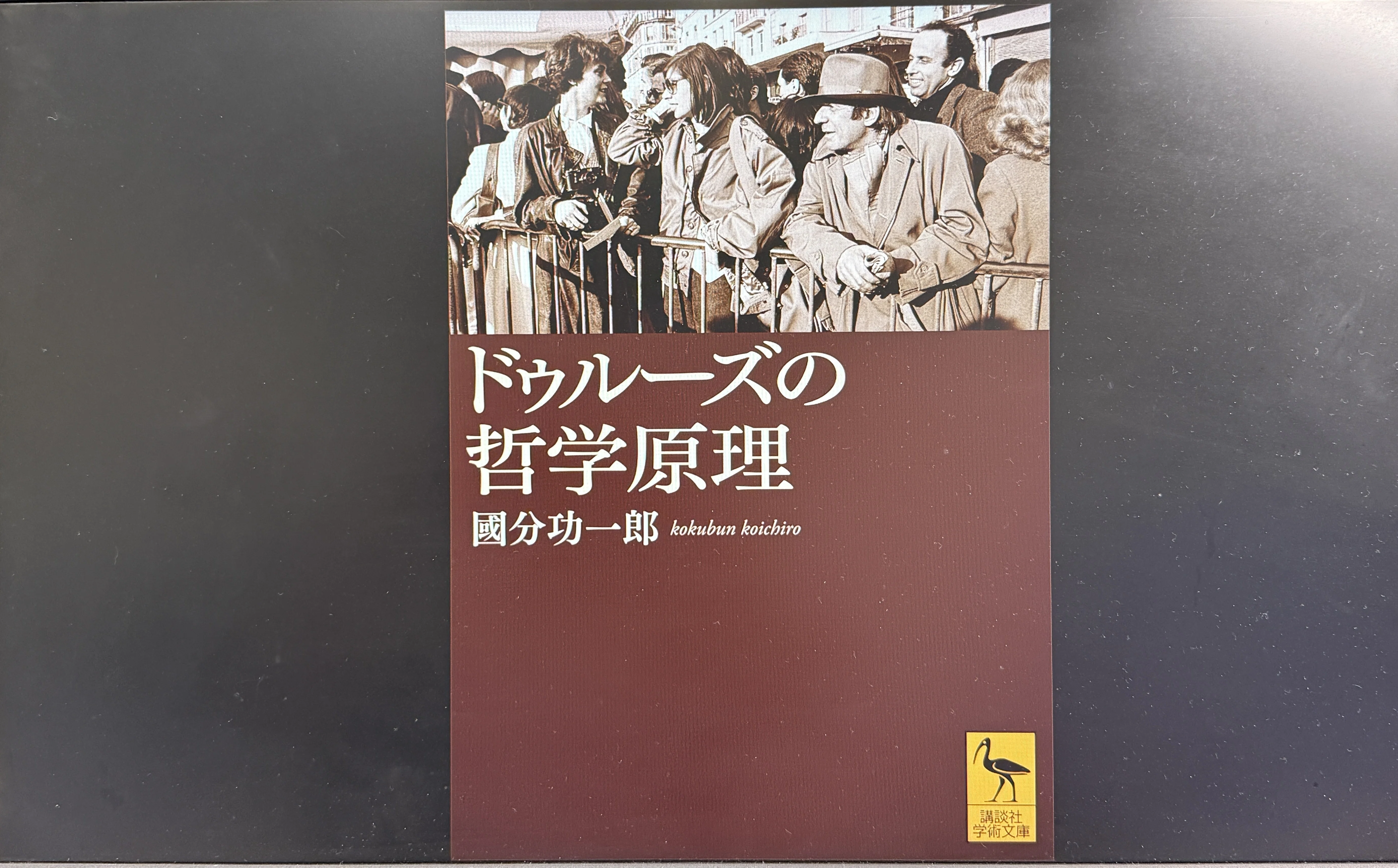 ドゥルーズの哲学原理』 - 誰が語ってるのか分からない「自由間接話法