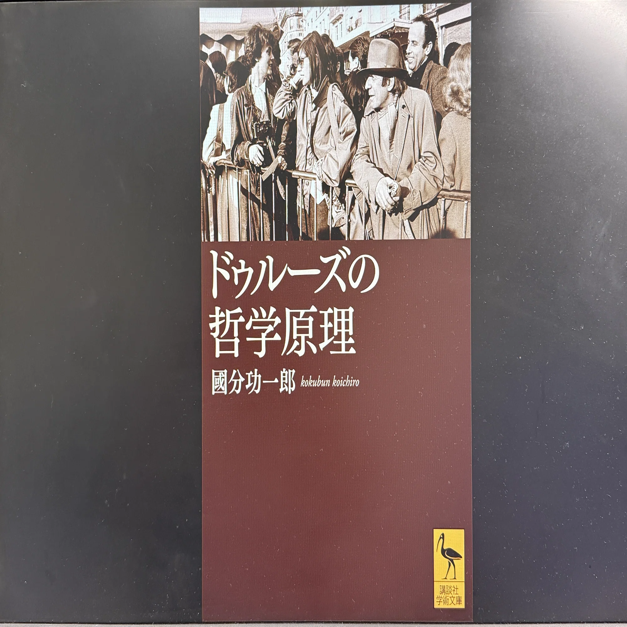 ドゥルーズの哲学原理』 - 誰が語ってるのか分からない「自由間接話法 