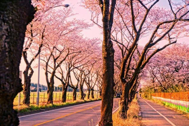 花博会場の前身、