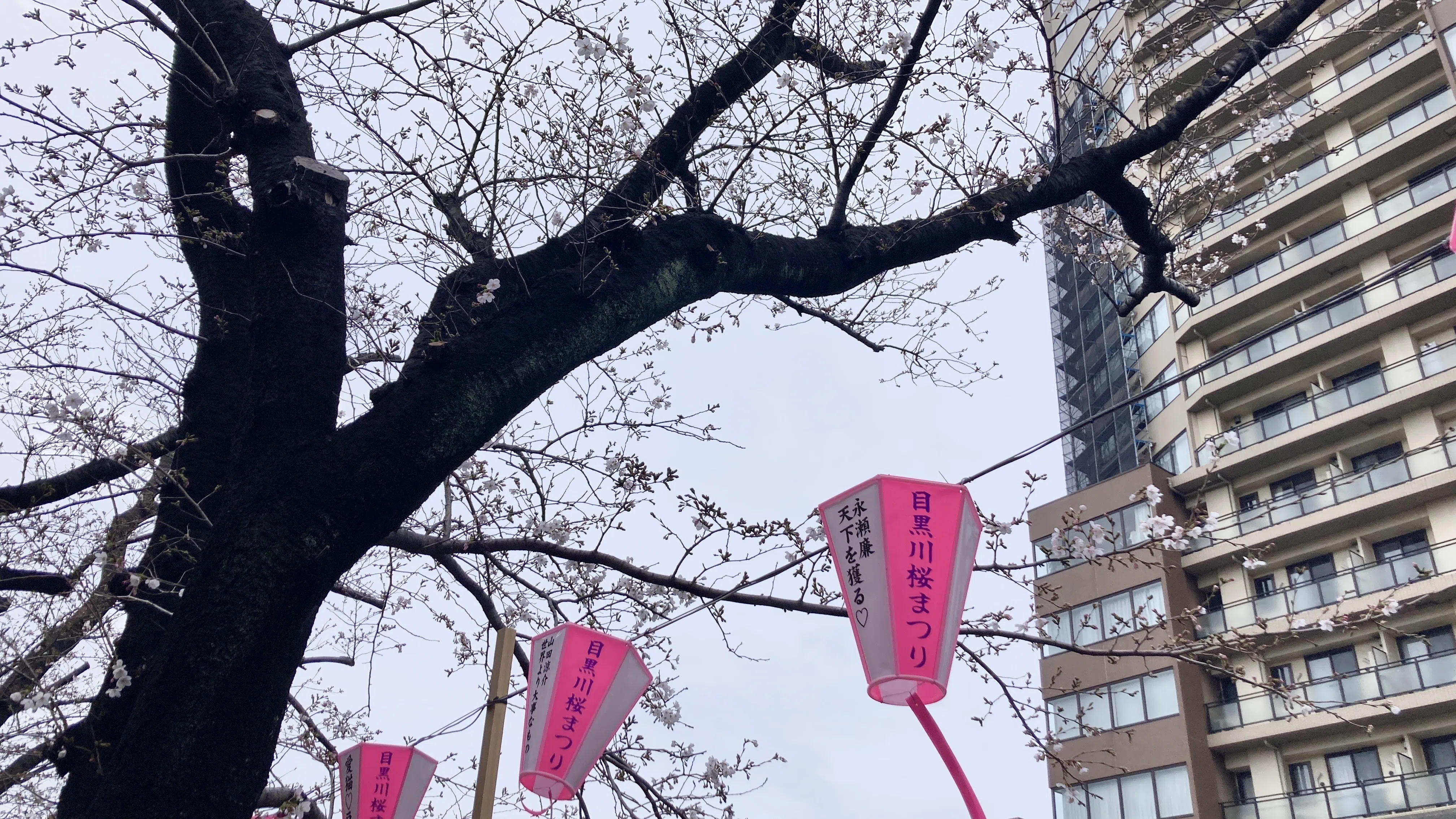 色が見どころ！「岡田謙三」展｜ひろがるブルー、きらめくグリーン