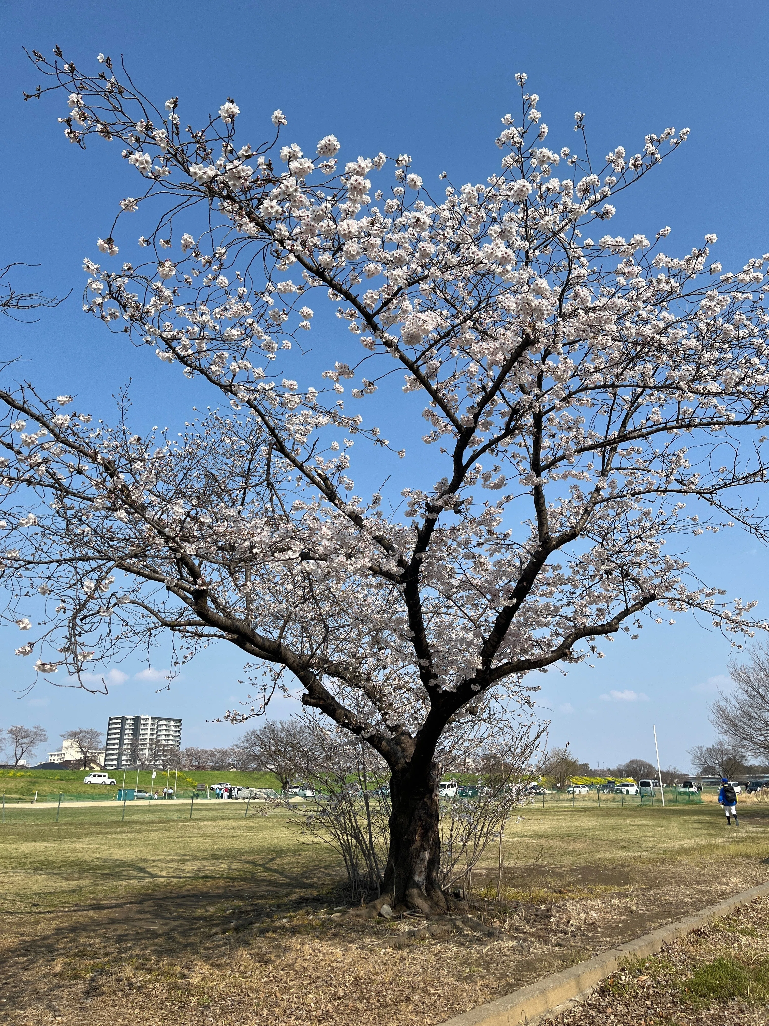 当社の税務本を直近100点並べてみた! ｜中央経済社Digital