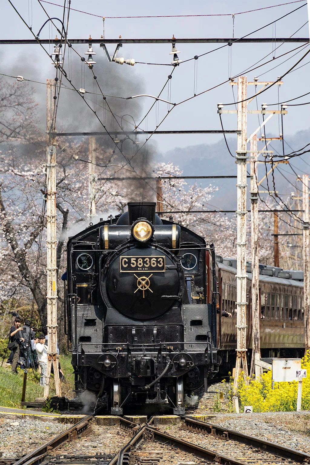 v254, 秩父鉄道：桜とSL （2026年）｜ひろやん