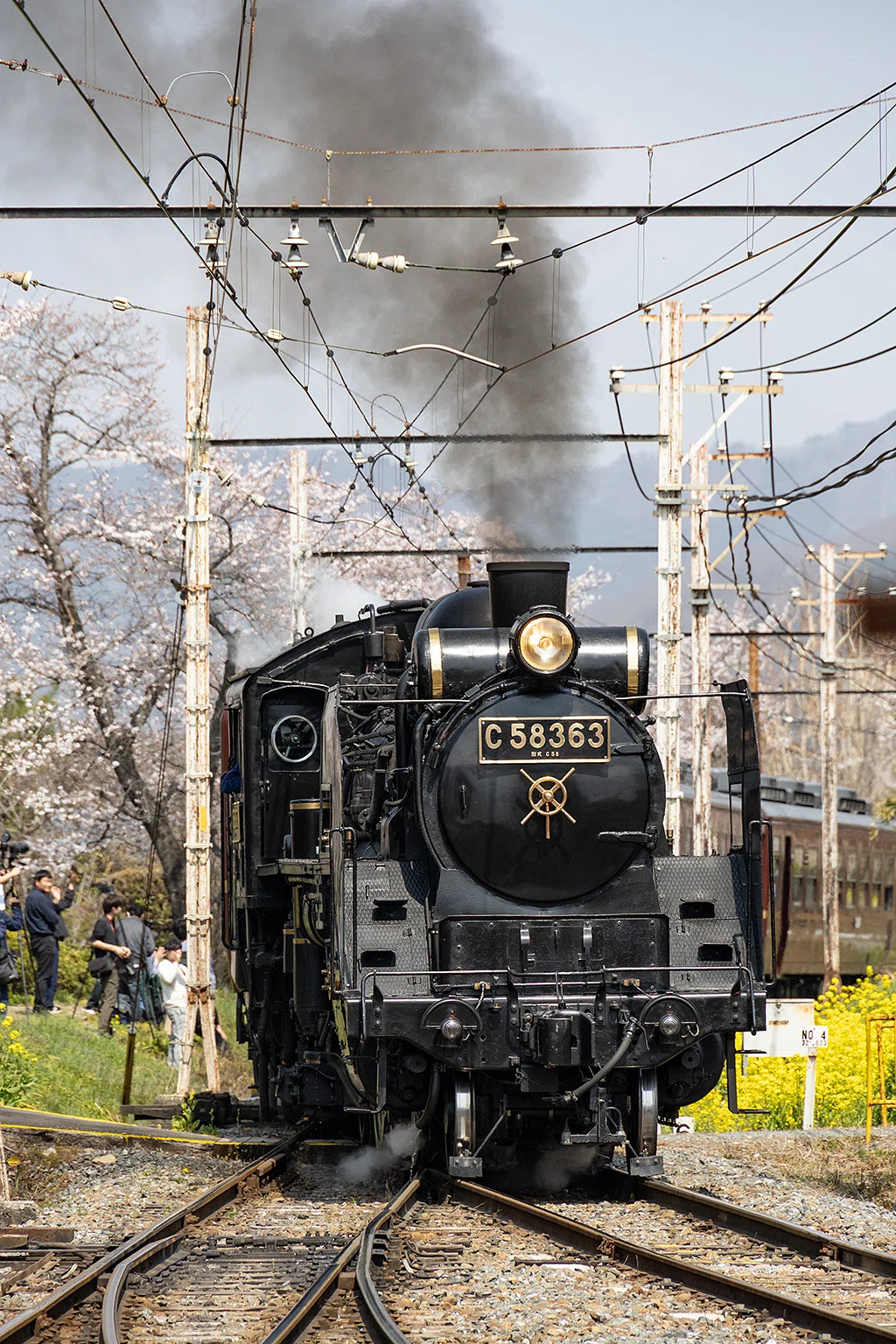 v254, 秩父鉄道：桜とSL （2026年）｜ひろやん
