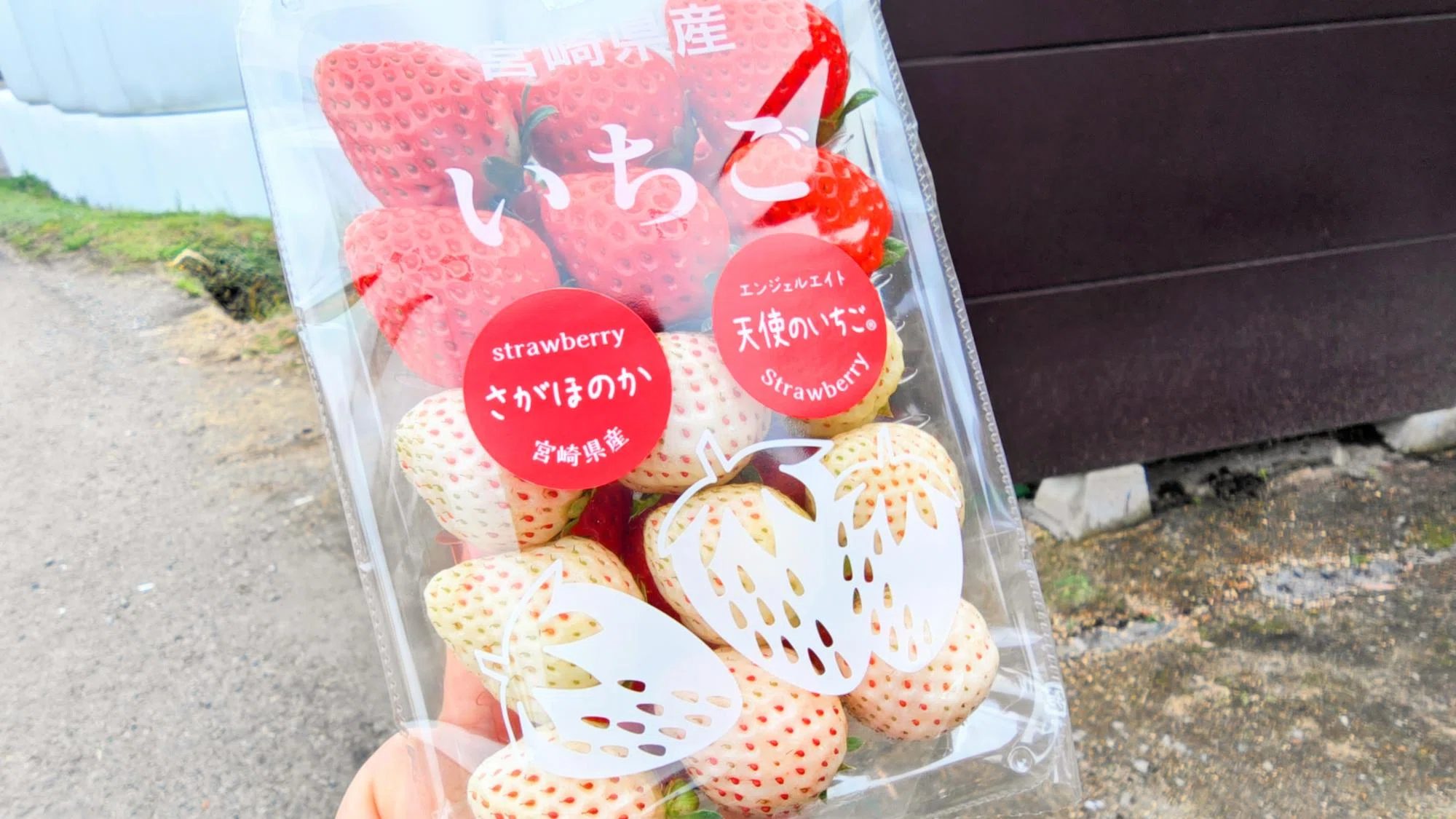 かわいやいちご様*. 専用ページ☺︎ 小林市】超レアいちごをゲット！隠れポップな無人販売に行ってきました