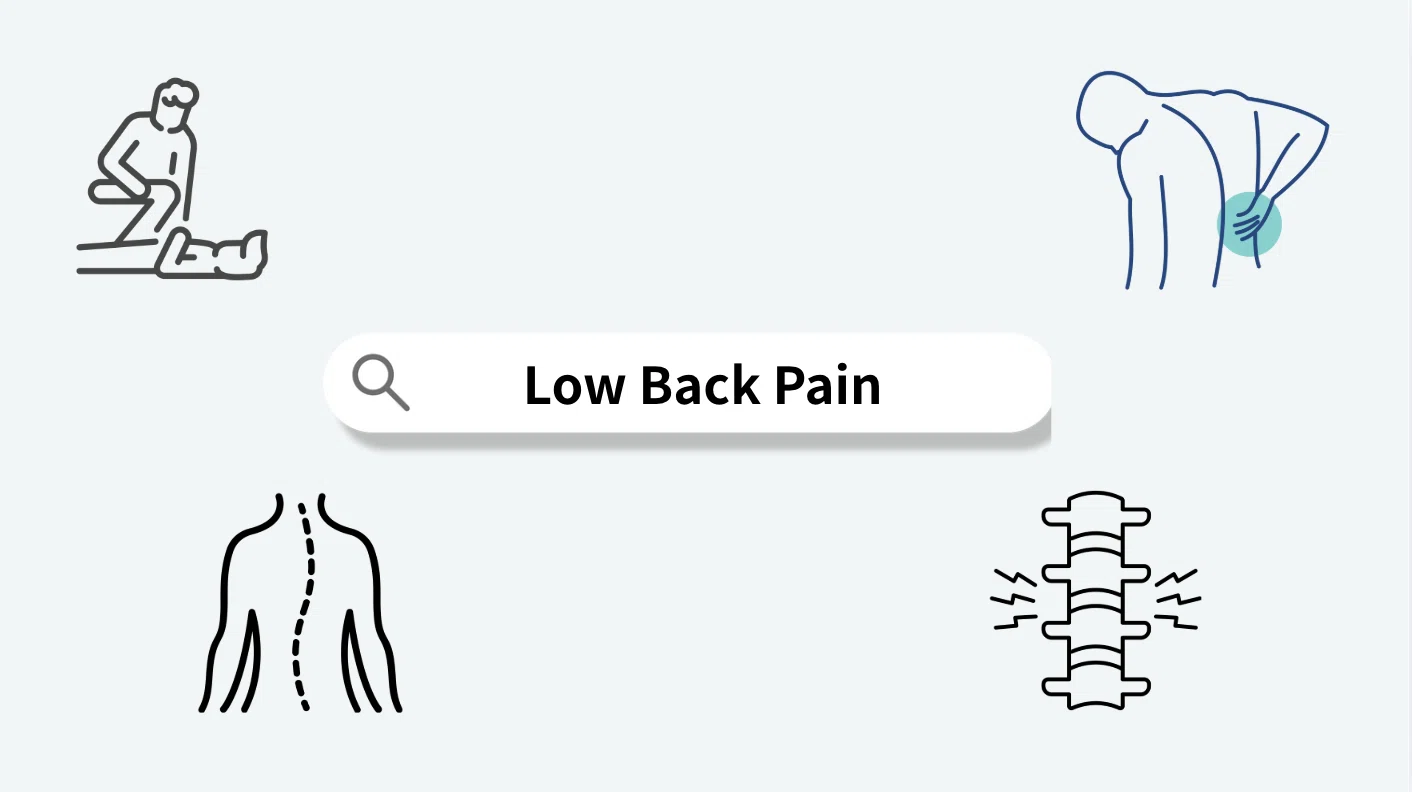 臨床英語: 腰痛 (Low Back Pain)｜Physio Term