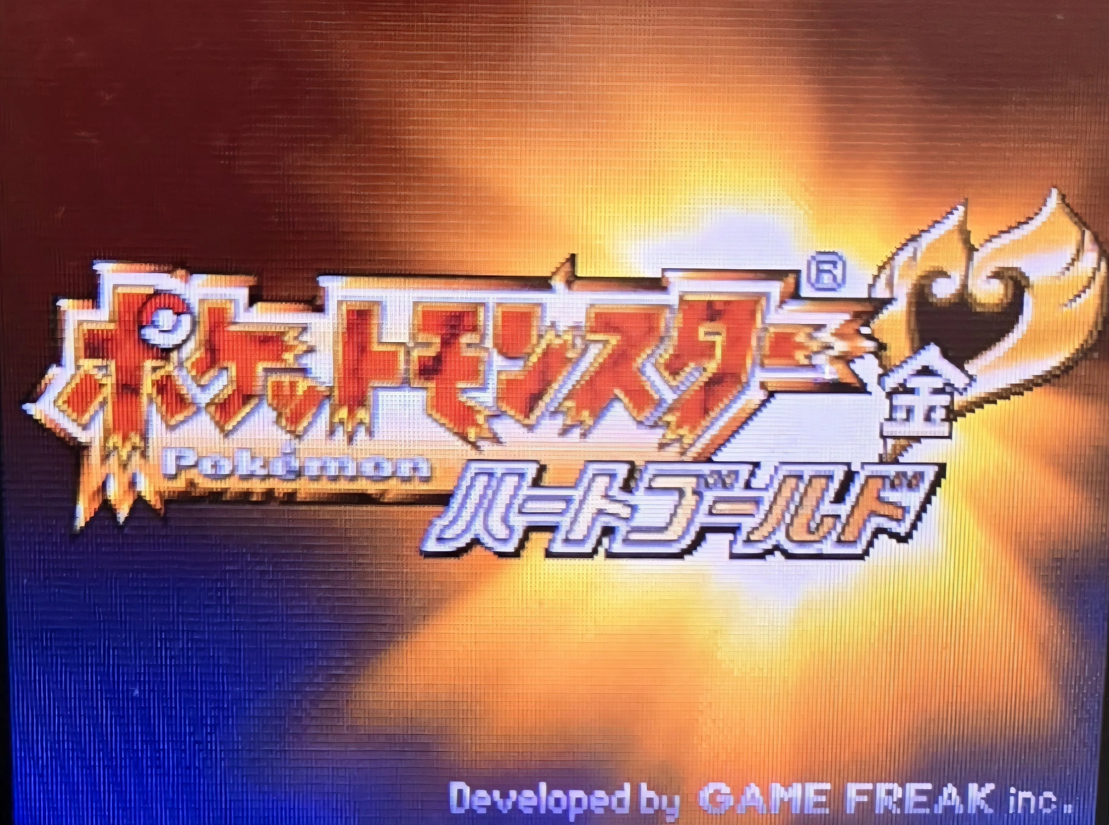 ゲーム記録】DSソフトポケットモンスター『ハートゴールド』にて撮影