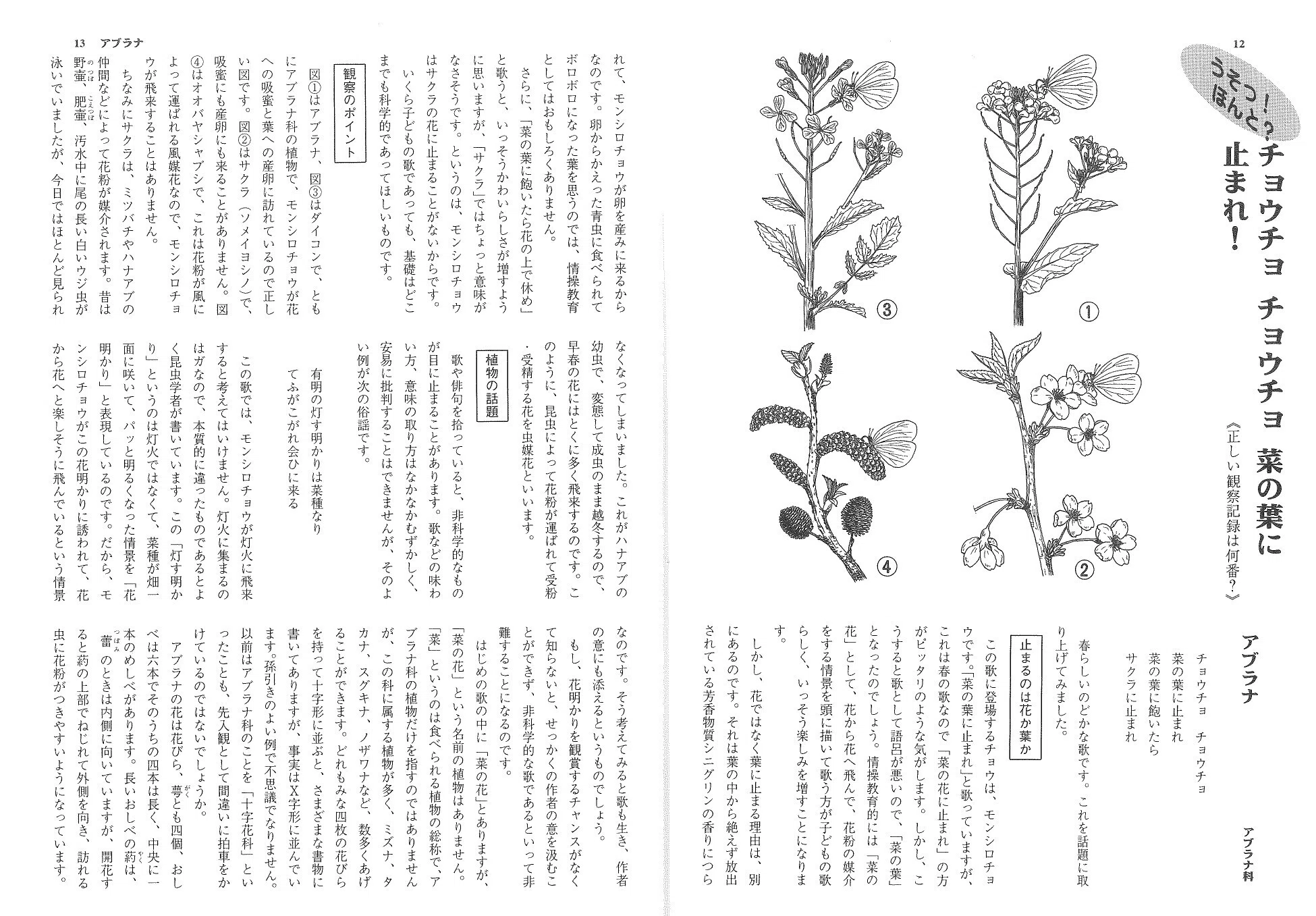 出版物のご紹介『ほんとの植物観察1 ヒマワリは日に回らない』｜地人